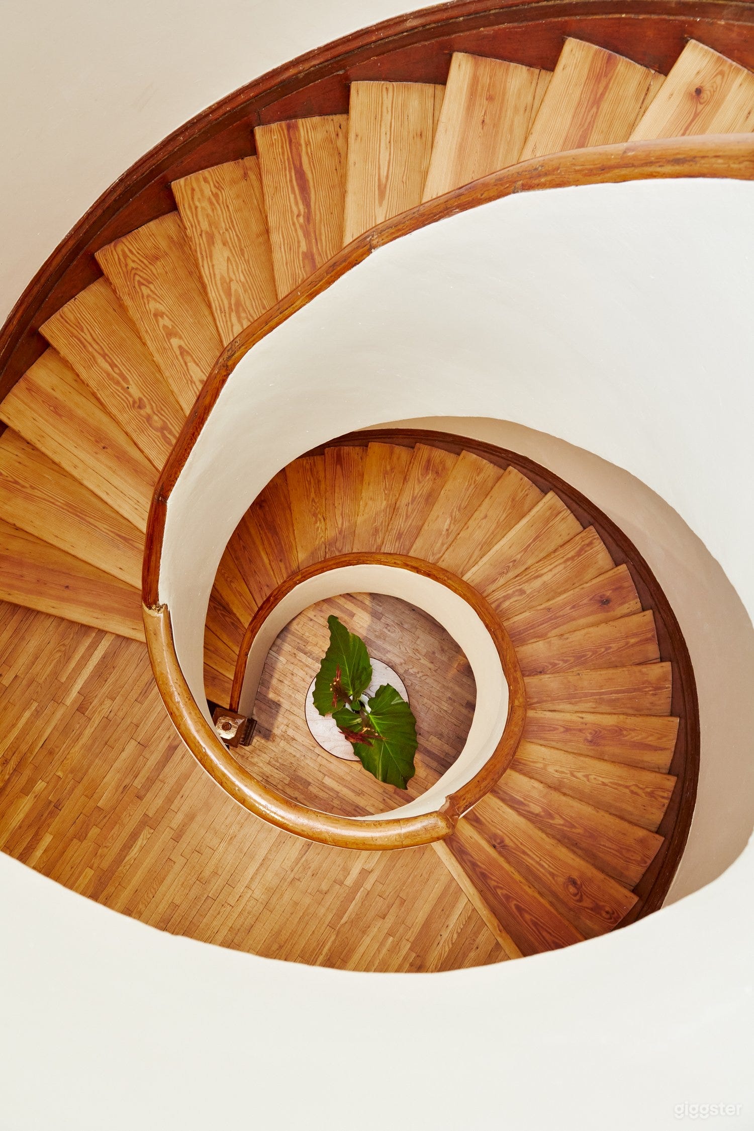 Skylight Penthouse Loft Photo 3