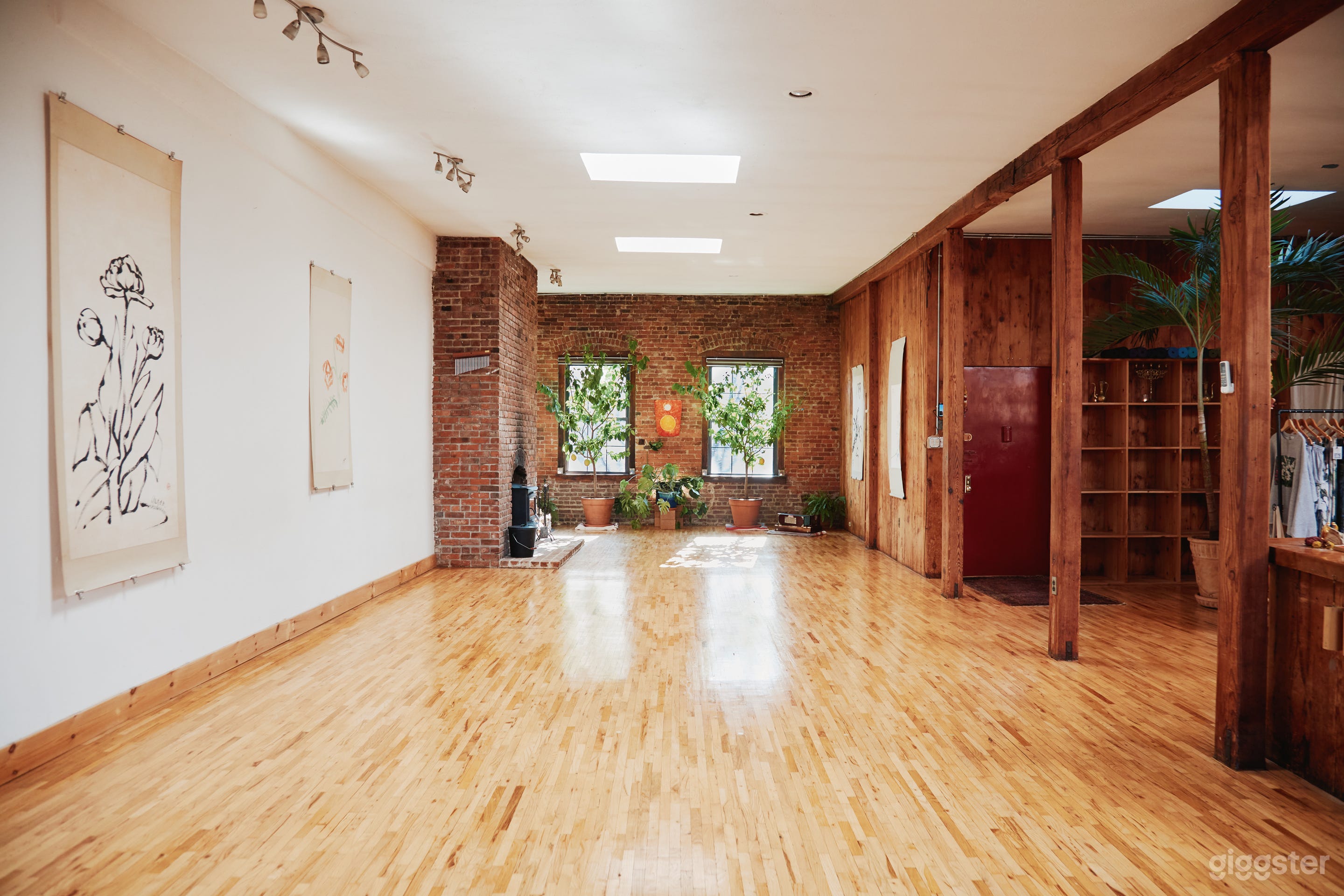 Skylight Penthouse Loft Photo 1