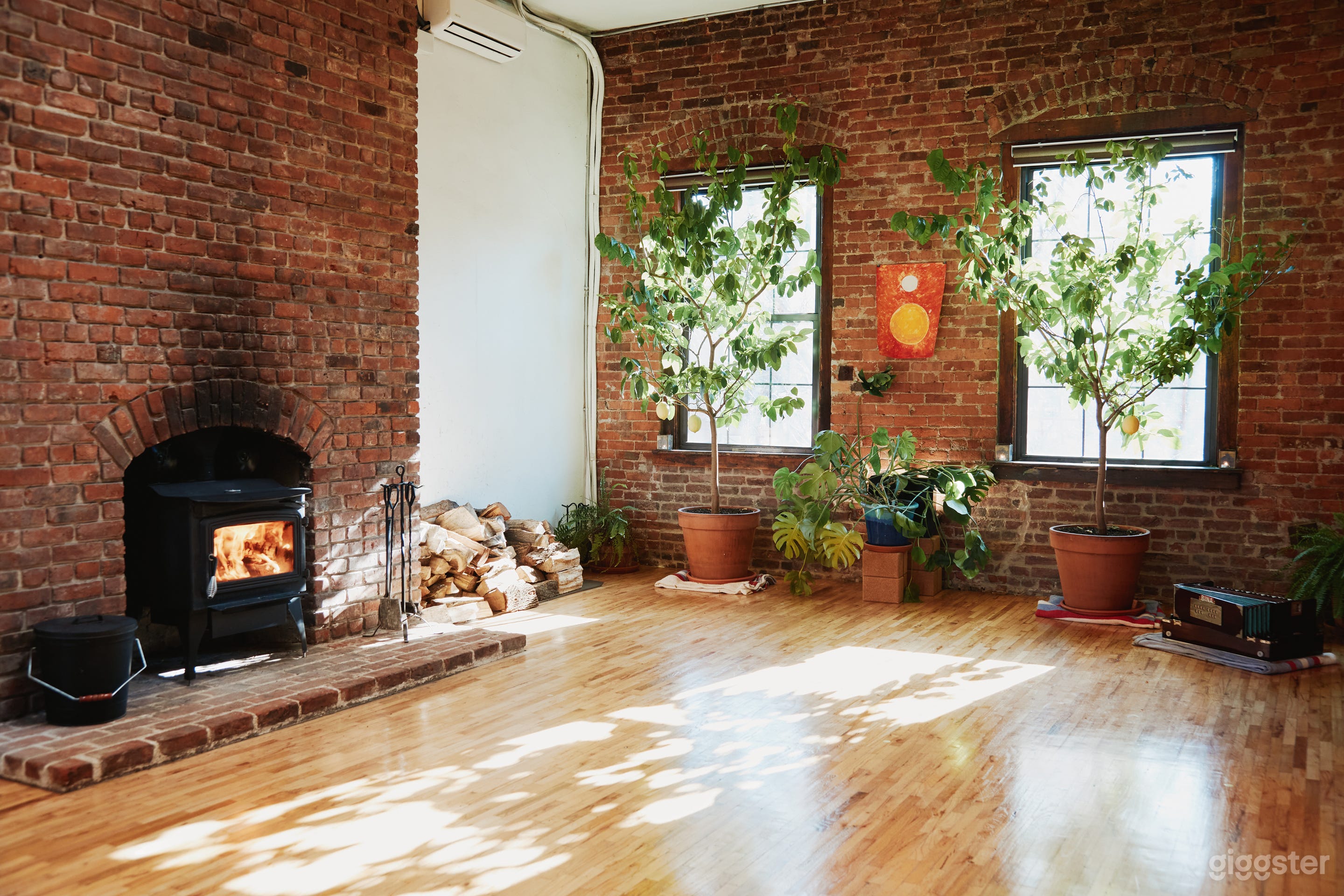 Skylight Penthouse Loft Photo 4