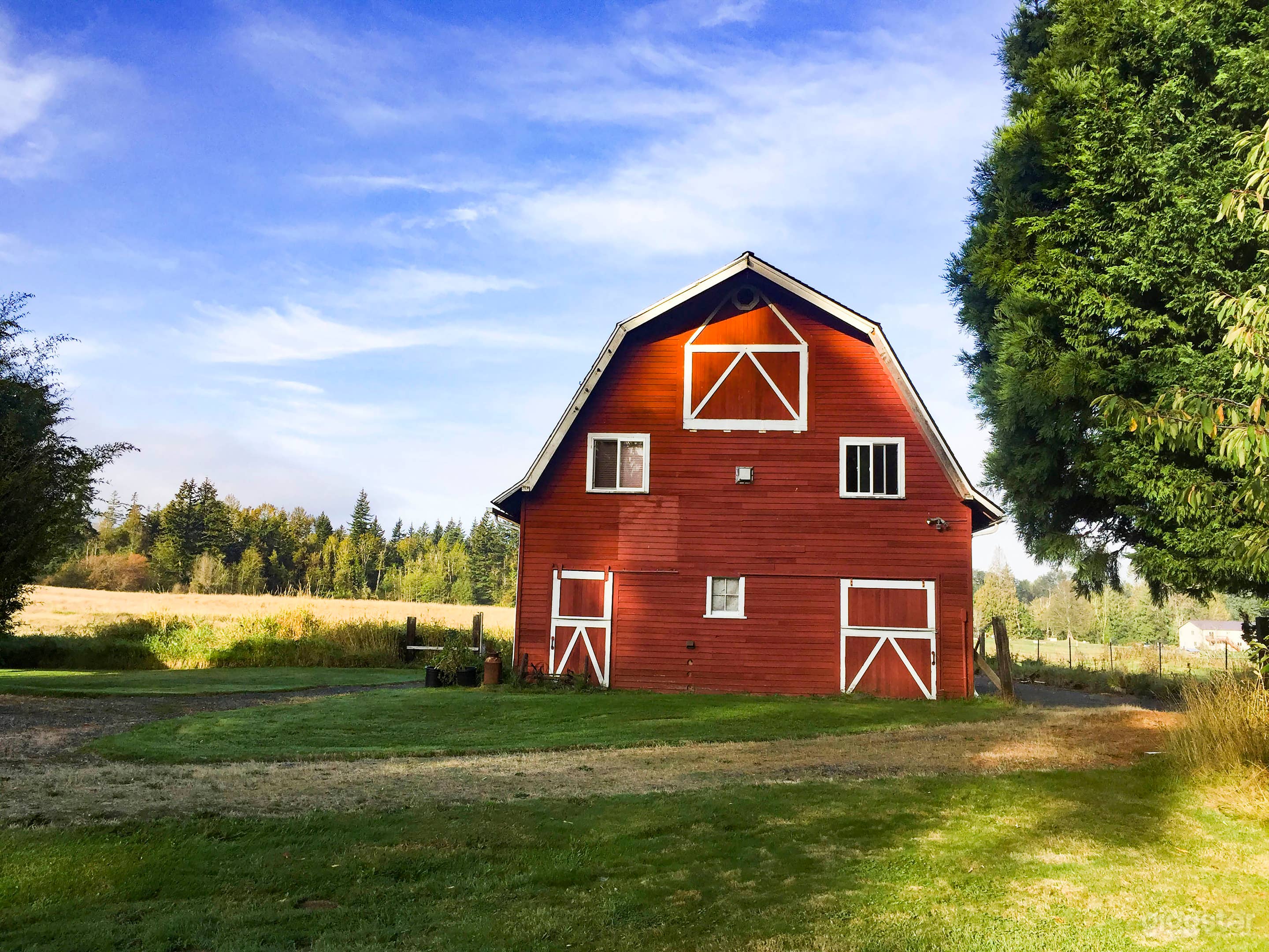 15 acre farm with apartment Loft in Barn, 2 beds full kitchen, wifi
