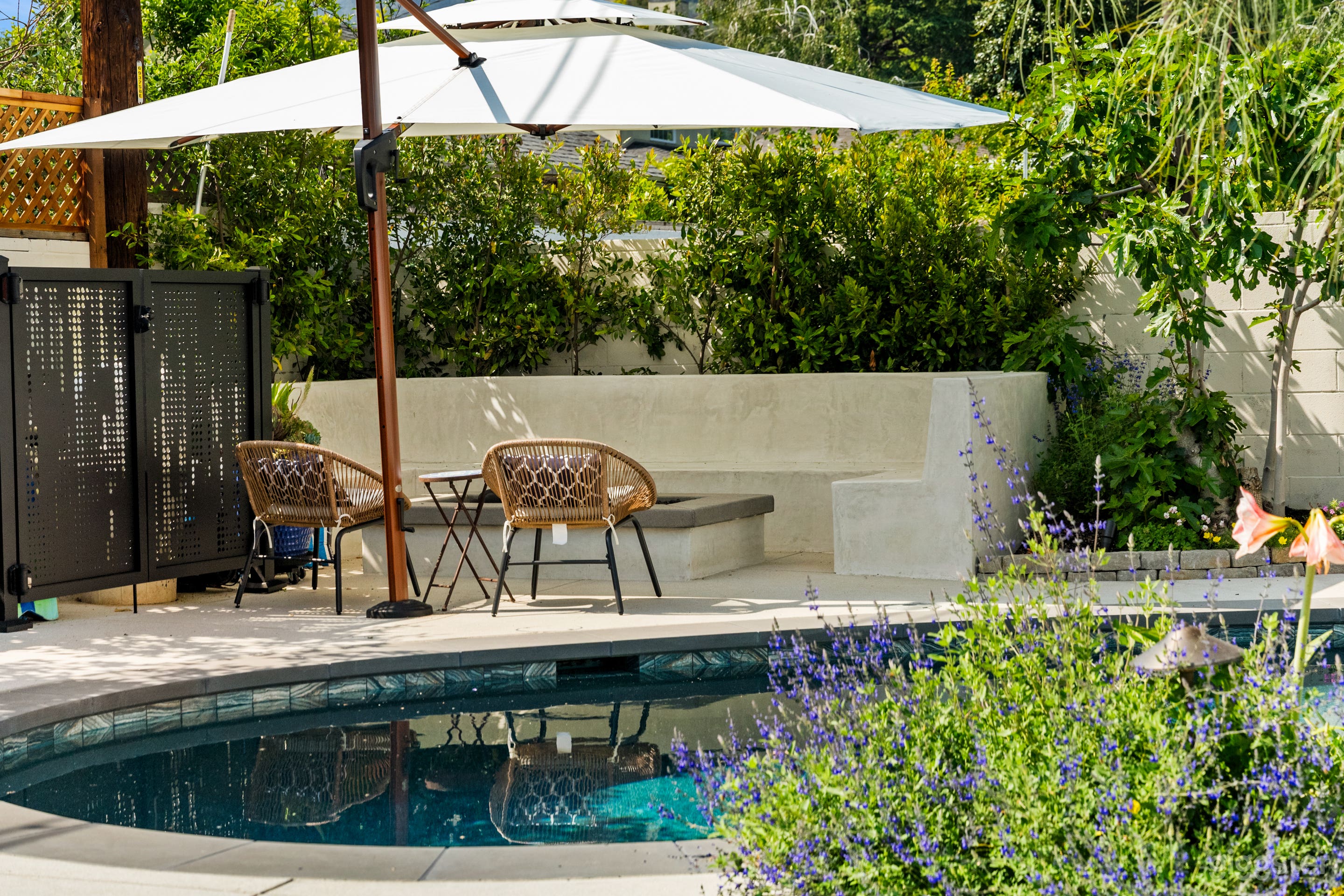 Cozy seating, lush greenery, and poolside vibes