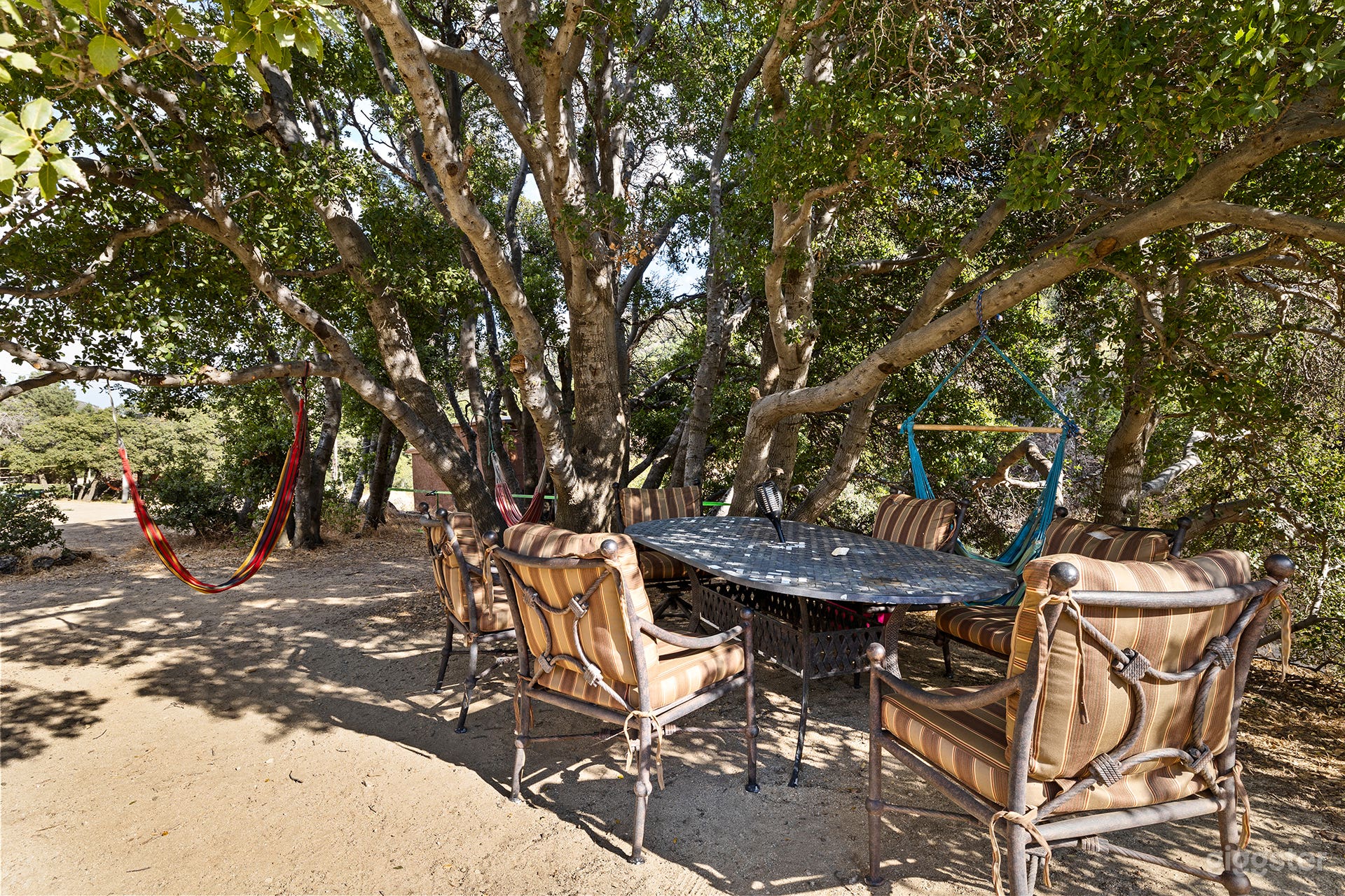 Private Secluded Oak Forest Film Location - easy access Photo 2