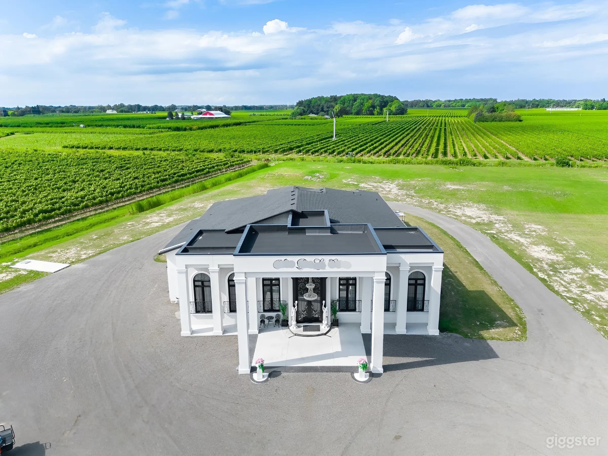 Luxury 7-Acre Estate with Grand 10,000 Sq. Ft. Villa Photo 2