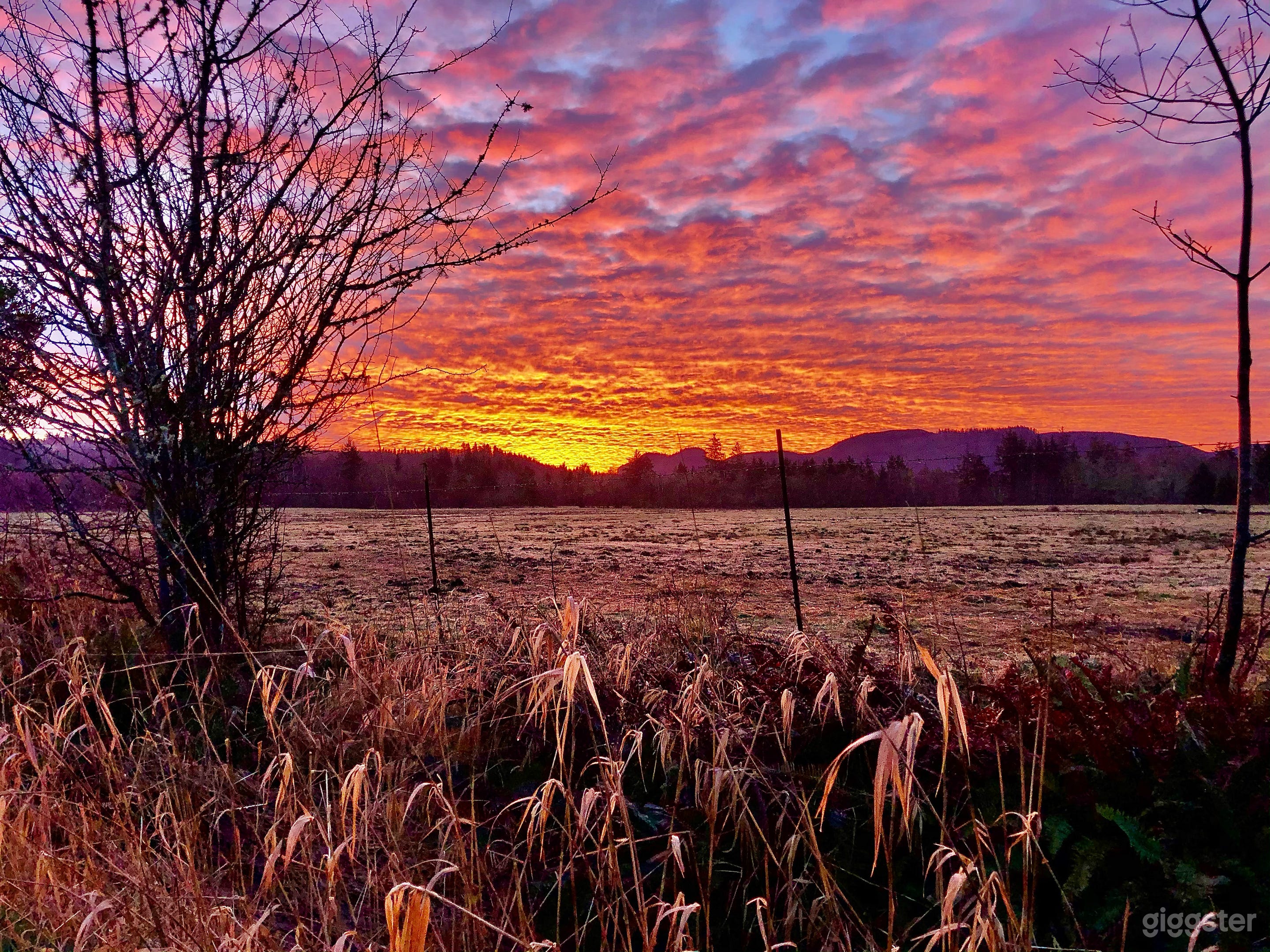 Sunrise across South East pasture, from in front of main house.