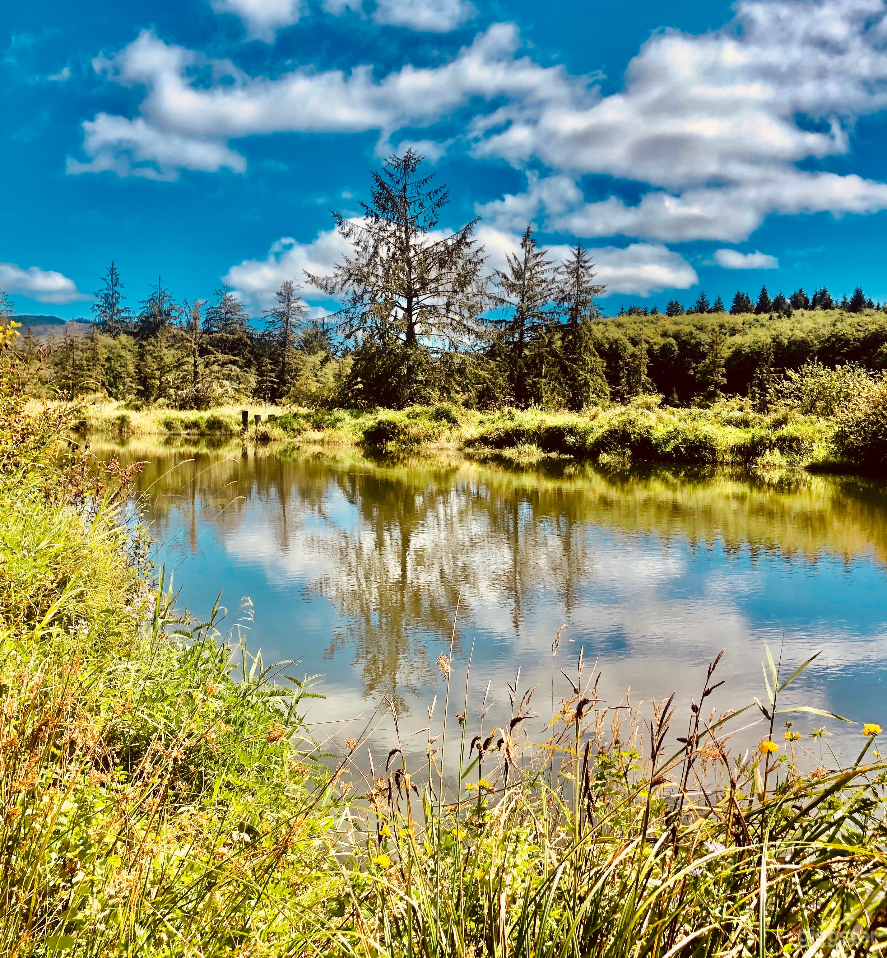 Lewis & Clarke River looking south from lower pasture.