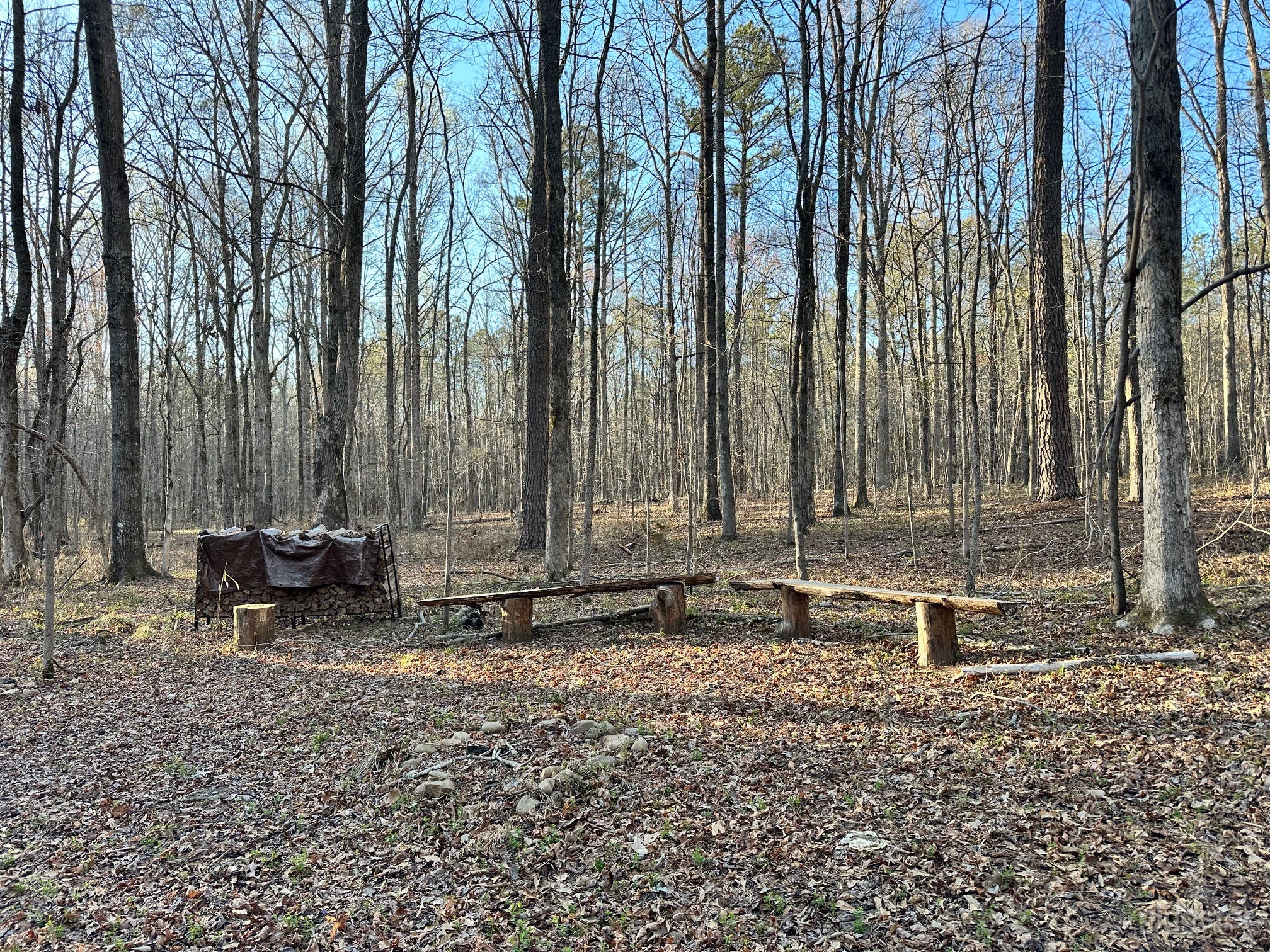 Wooded Backyard Retreat Photo 1