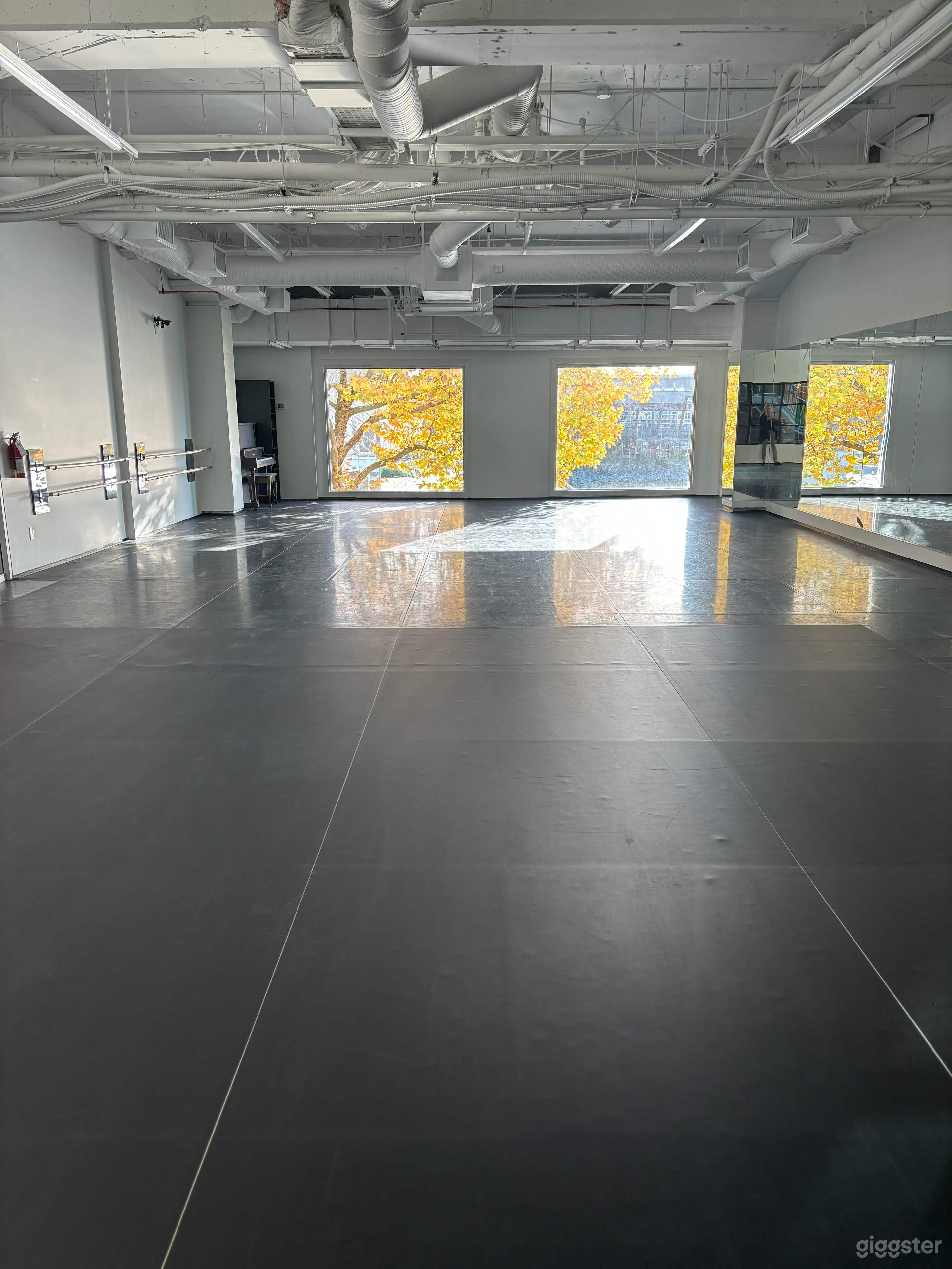 1500sq ft. ocean view studios. Sprung, Marley flooring, Ballet Barres, mirrors. 