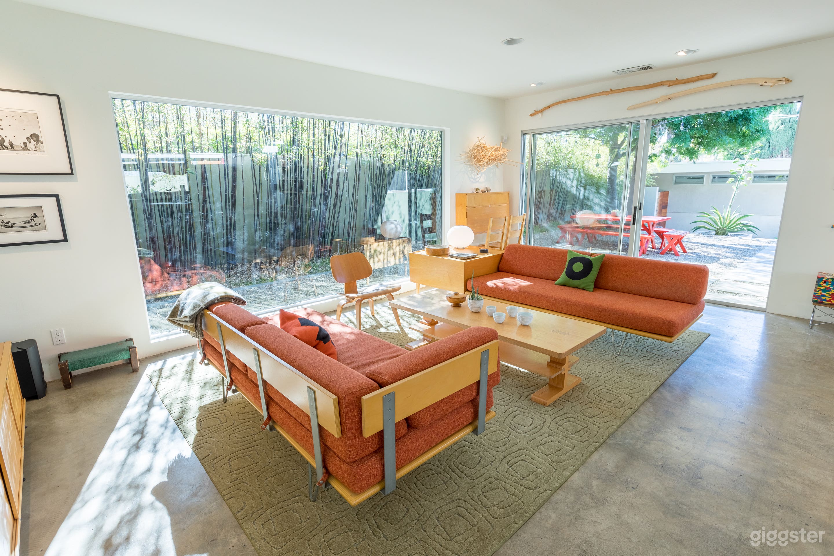 Vibrant Nature  Photo 1