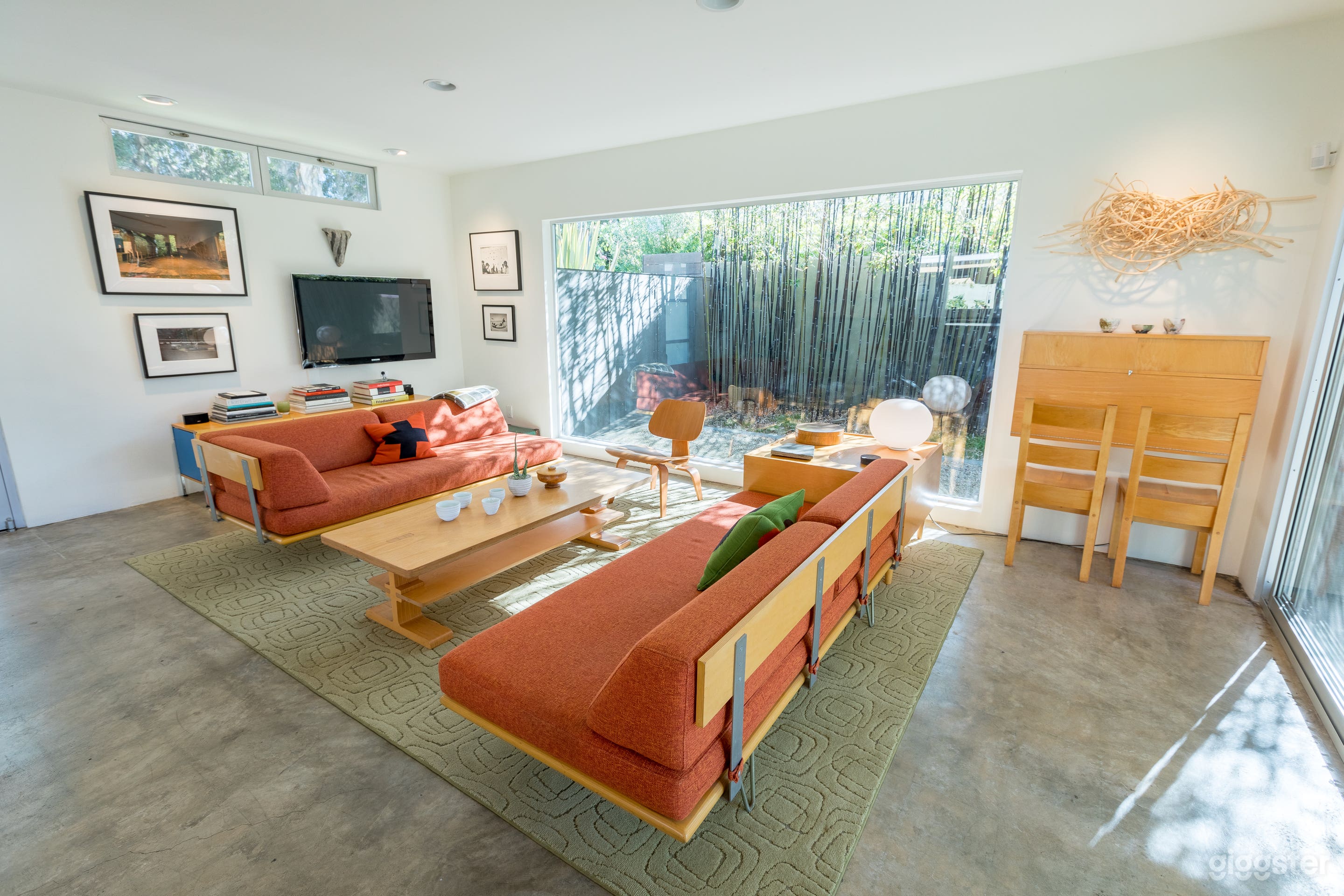 Vibrant Nature  Photo 4