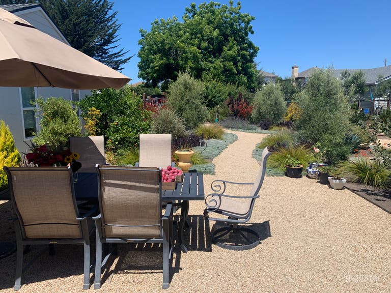  Urban Farm & Homestead 