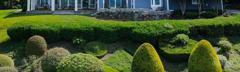  Spacious Outdoor Yard 