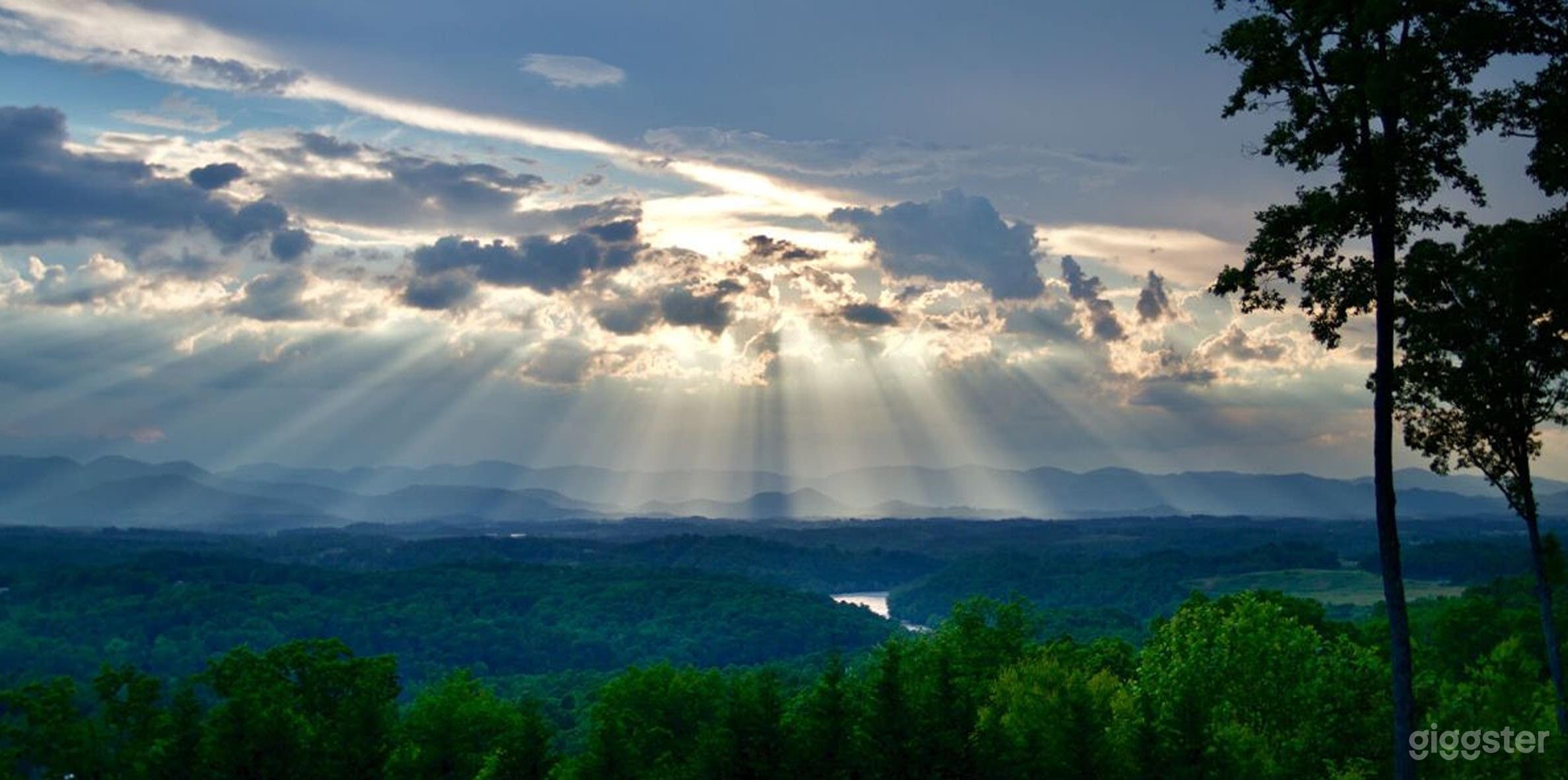 Spacious Outdoor Yard Photo 3