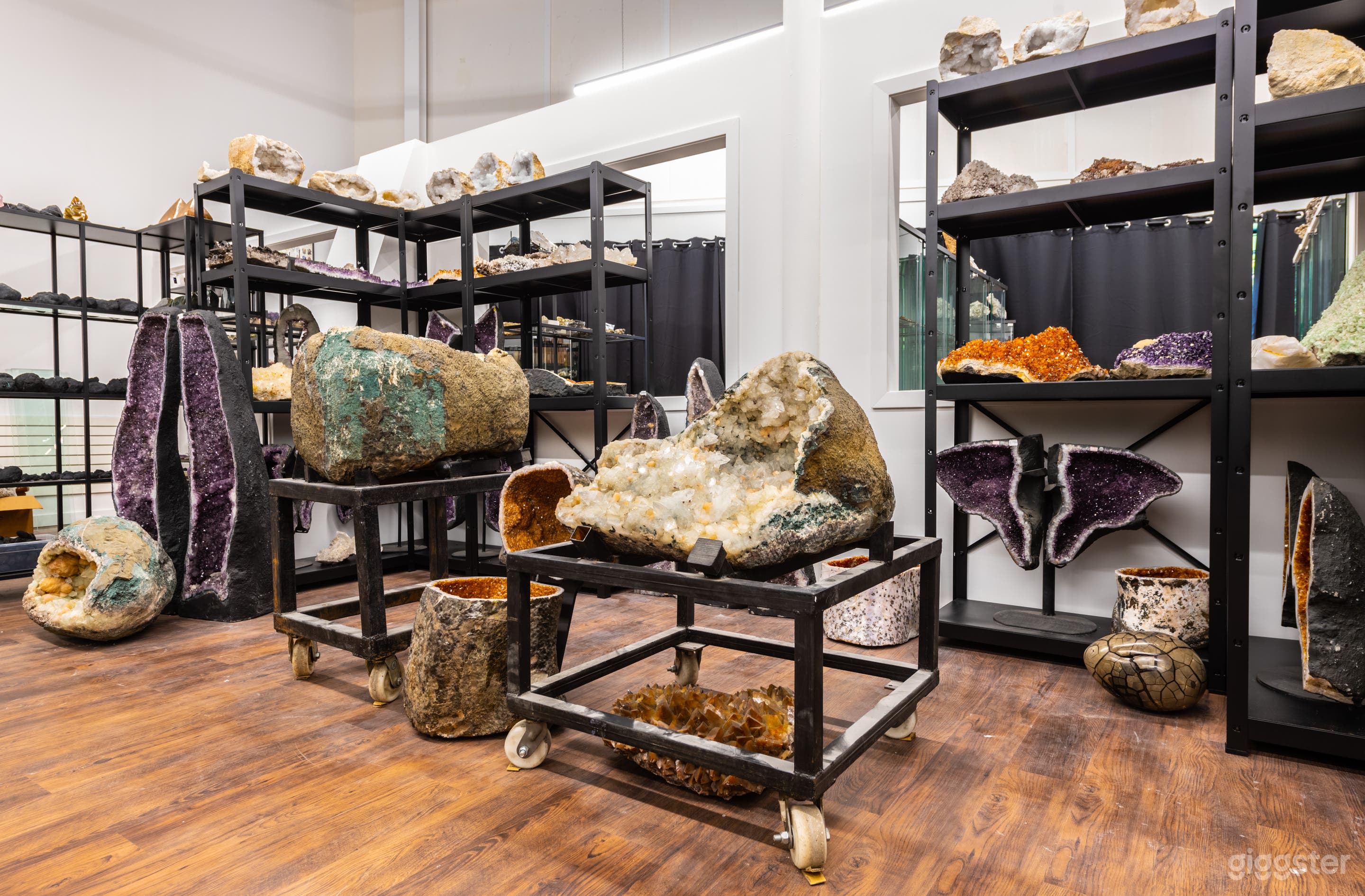 Some of the larger specimens