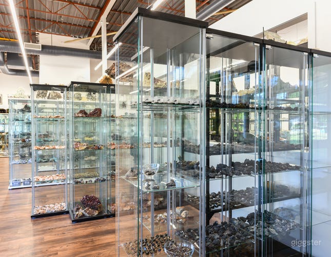 Rent Canada's Largest Crystal Fossil Shop in Vancouver Giggster