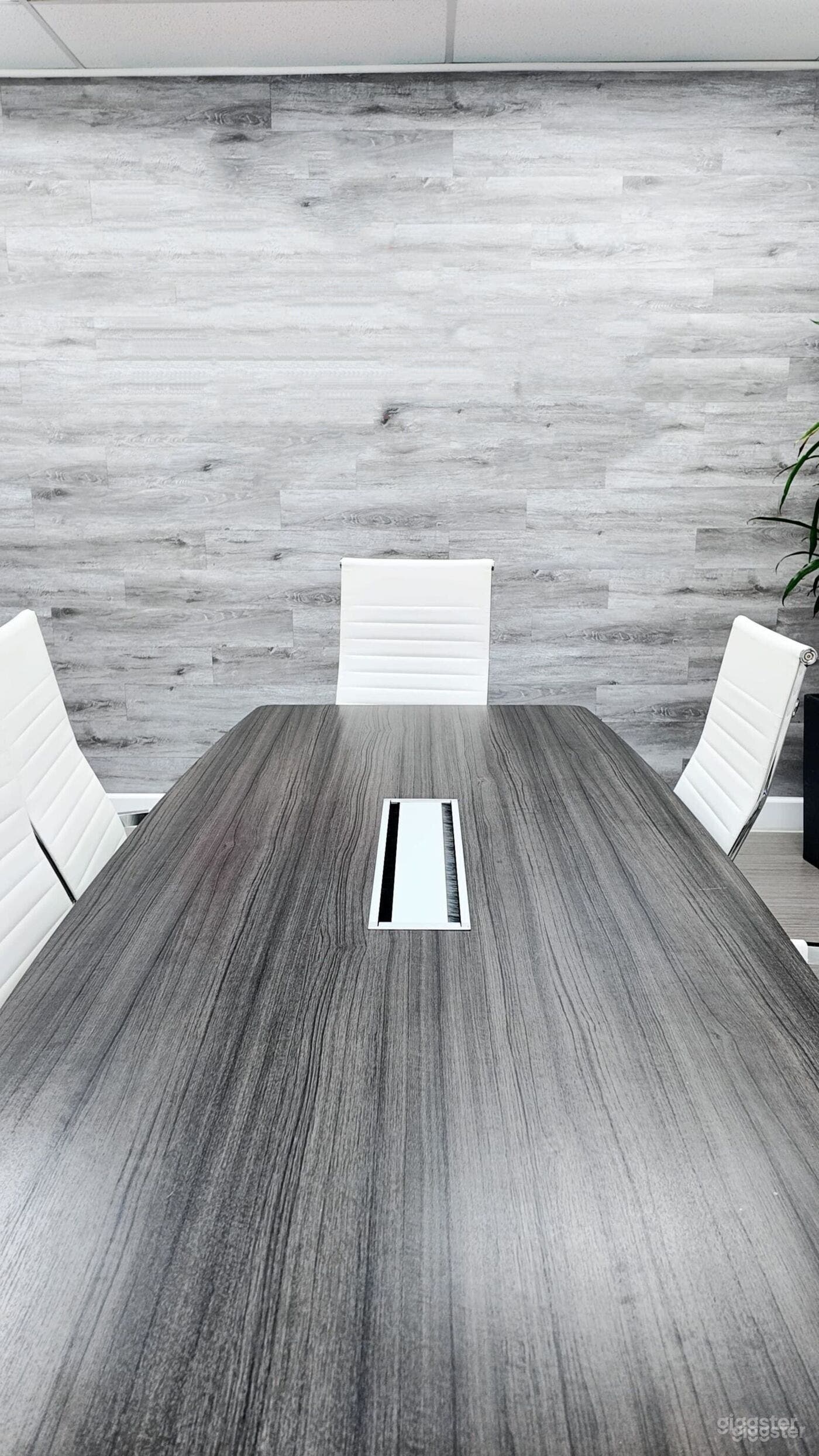 Big Conference Room Photo 2