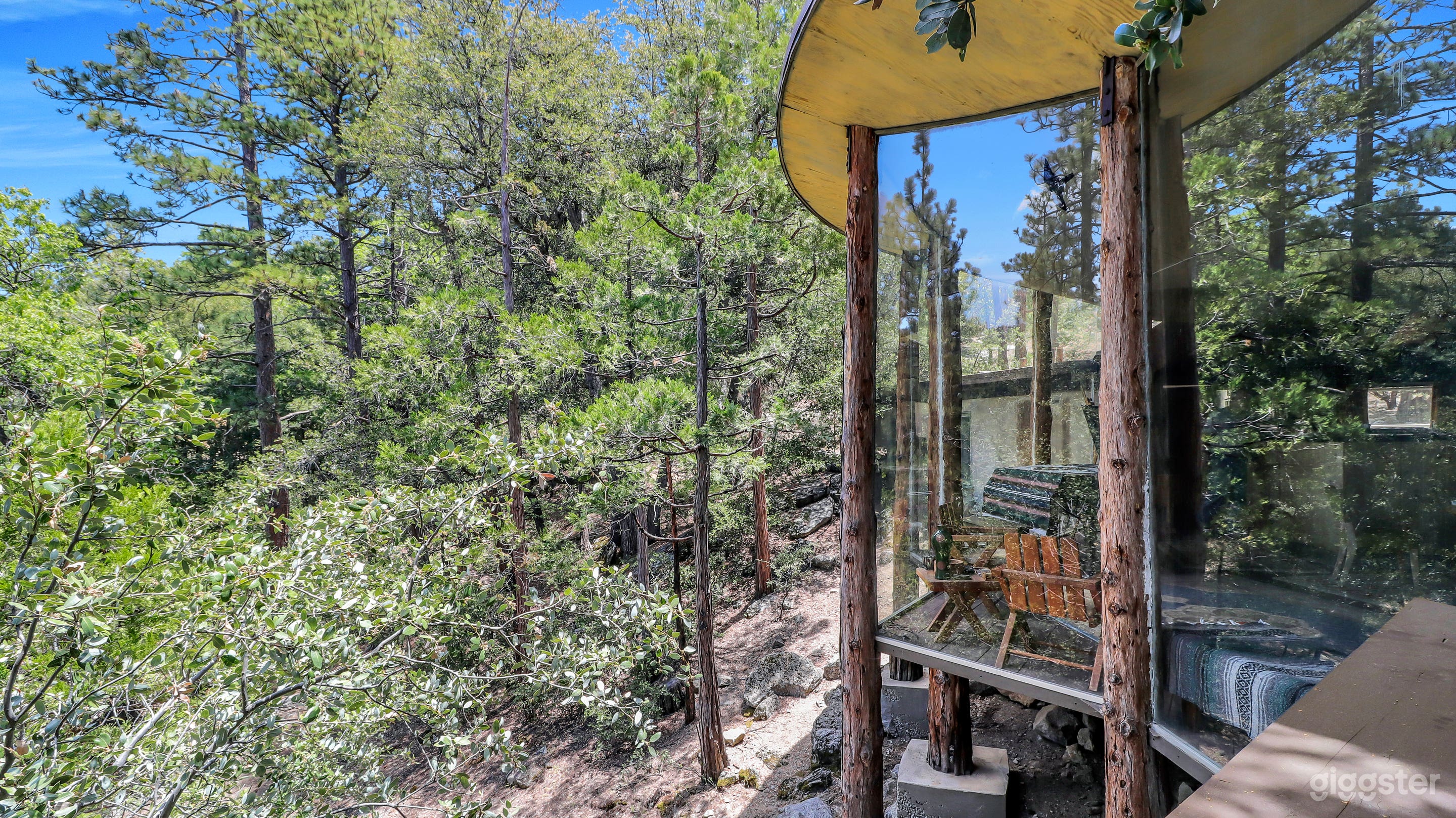 Pearlman Lautner Cabin  Photo 2