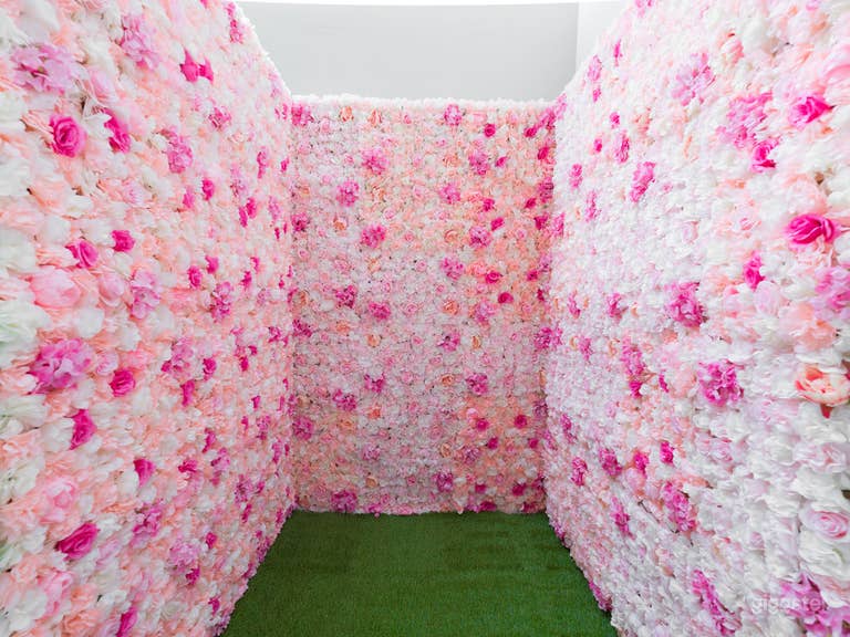  Photography Podcast and Video Creative Studio 