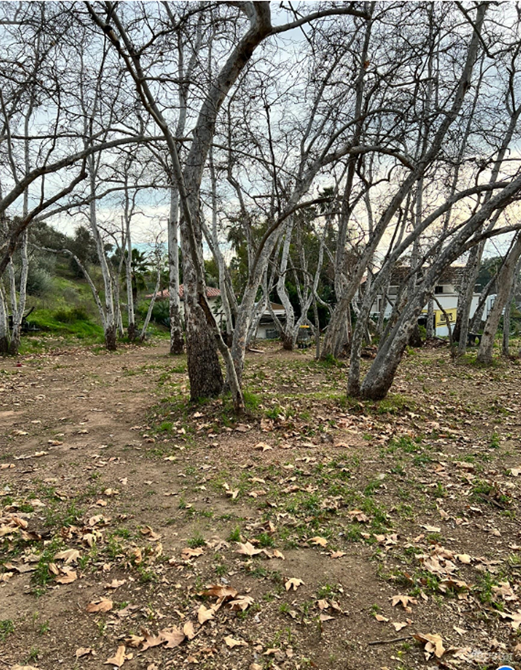 Expansive Outdoor Featuring A Charming Pergola Photo 2