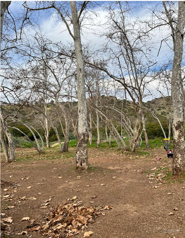  Expansive Outdoor Featuring A Charming Pergola 