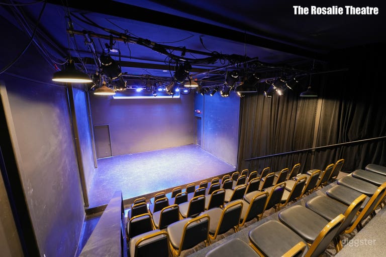  The Rosalie - Théâtre du quartier artistique de Noho parfait pour une projection 