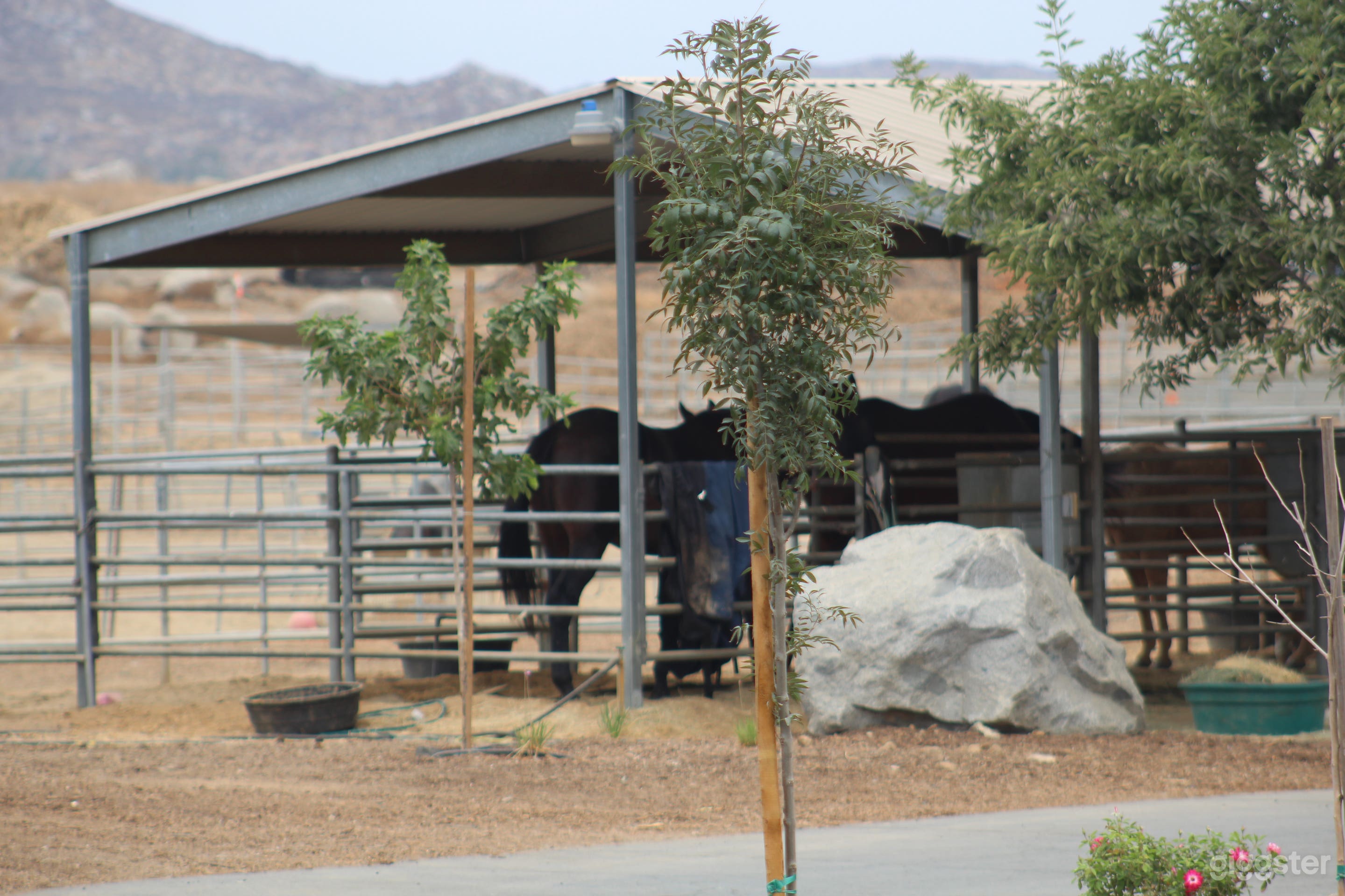 The Kingsmen Ranch Photo 4