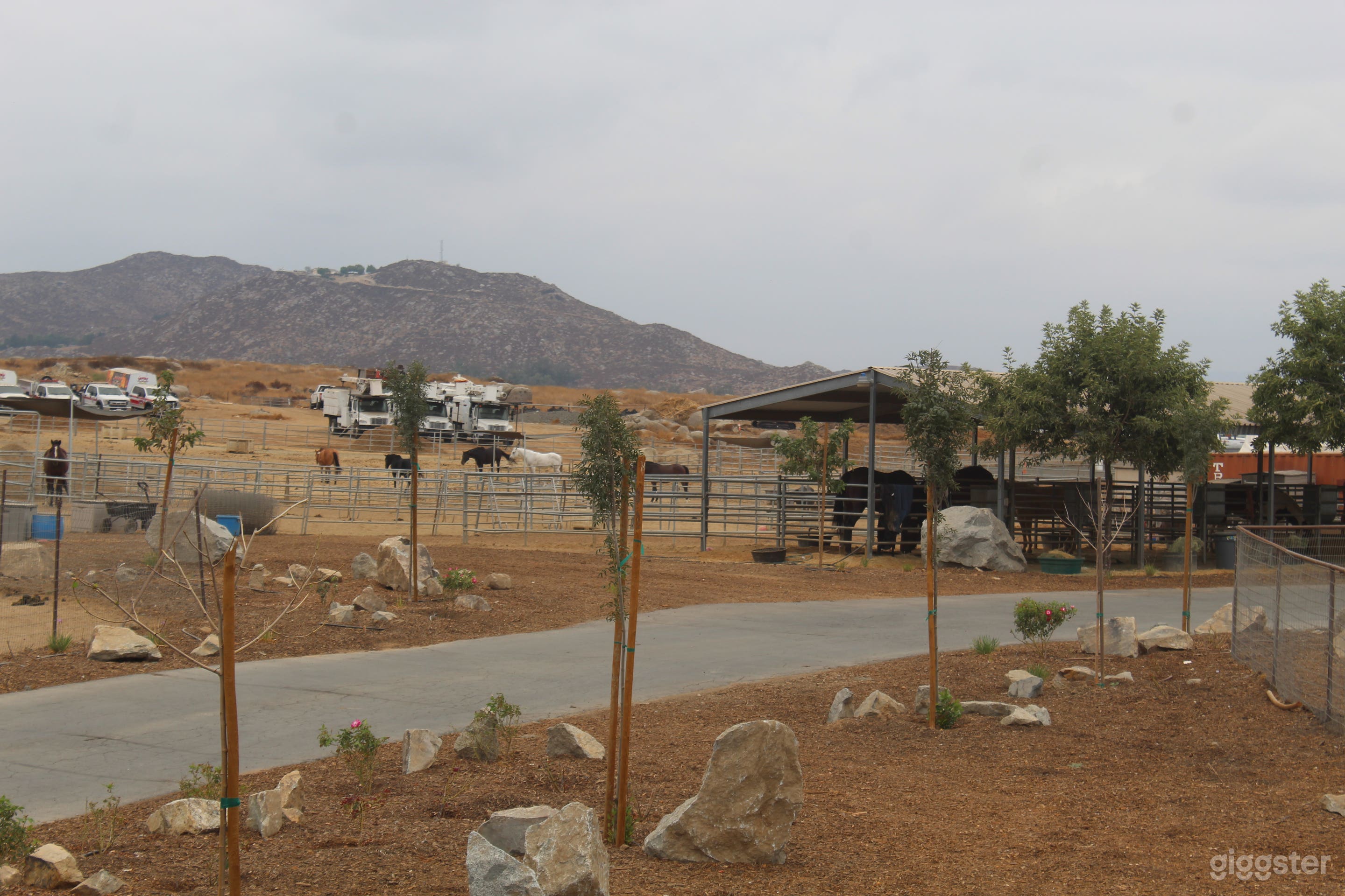 The Kingsmen Ranch Photo 3