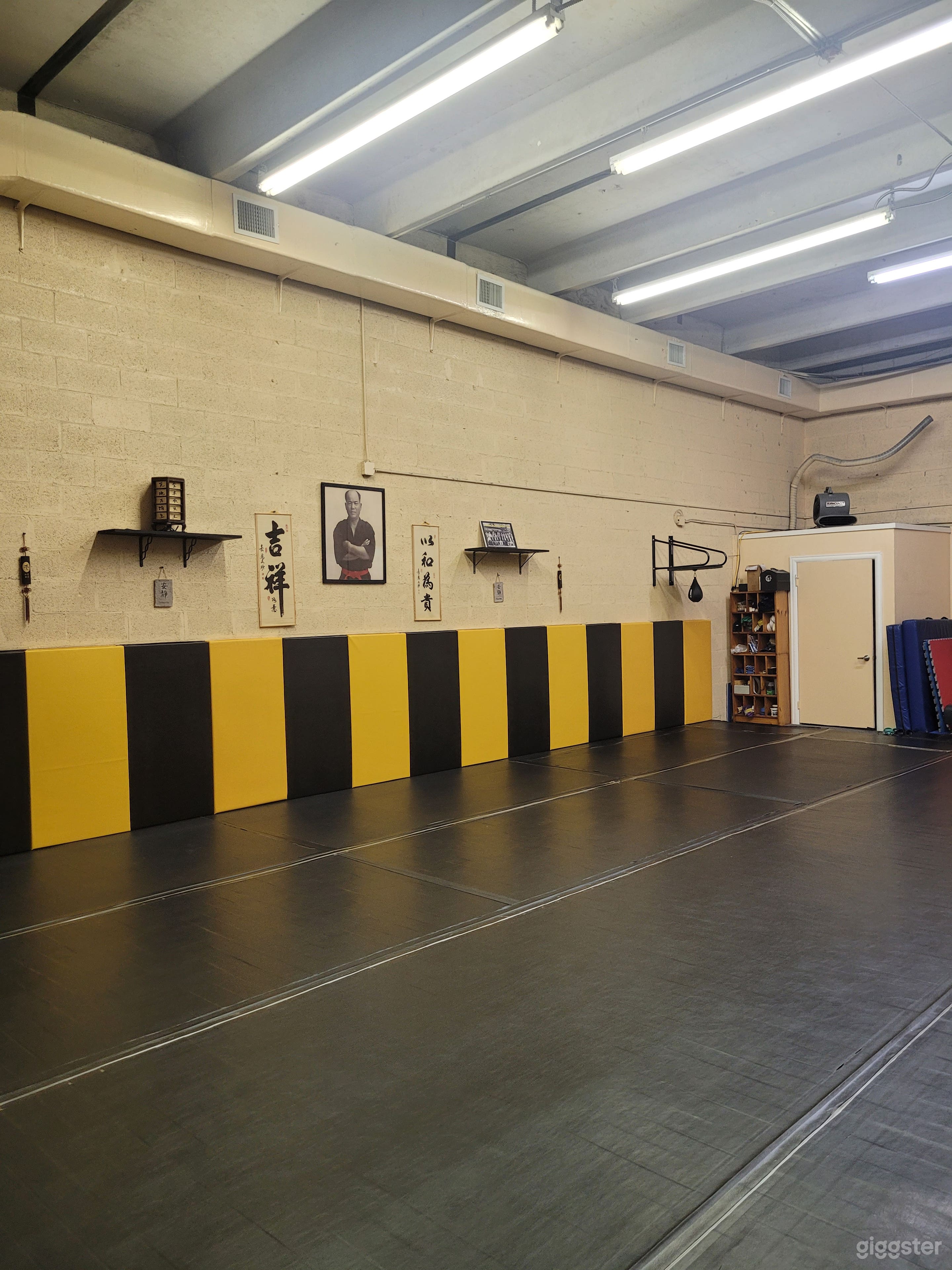 Cinematic Martial Arts Dojo & Private Gym Photo 4