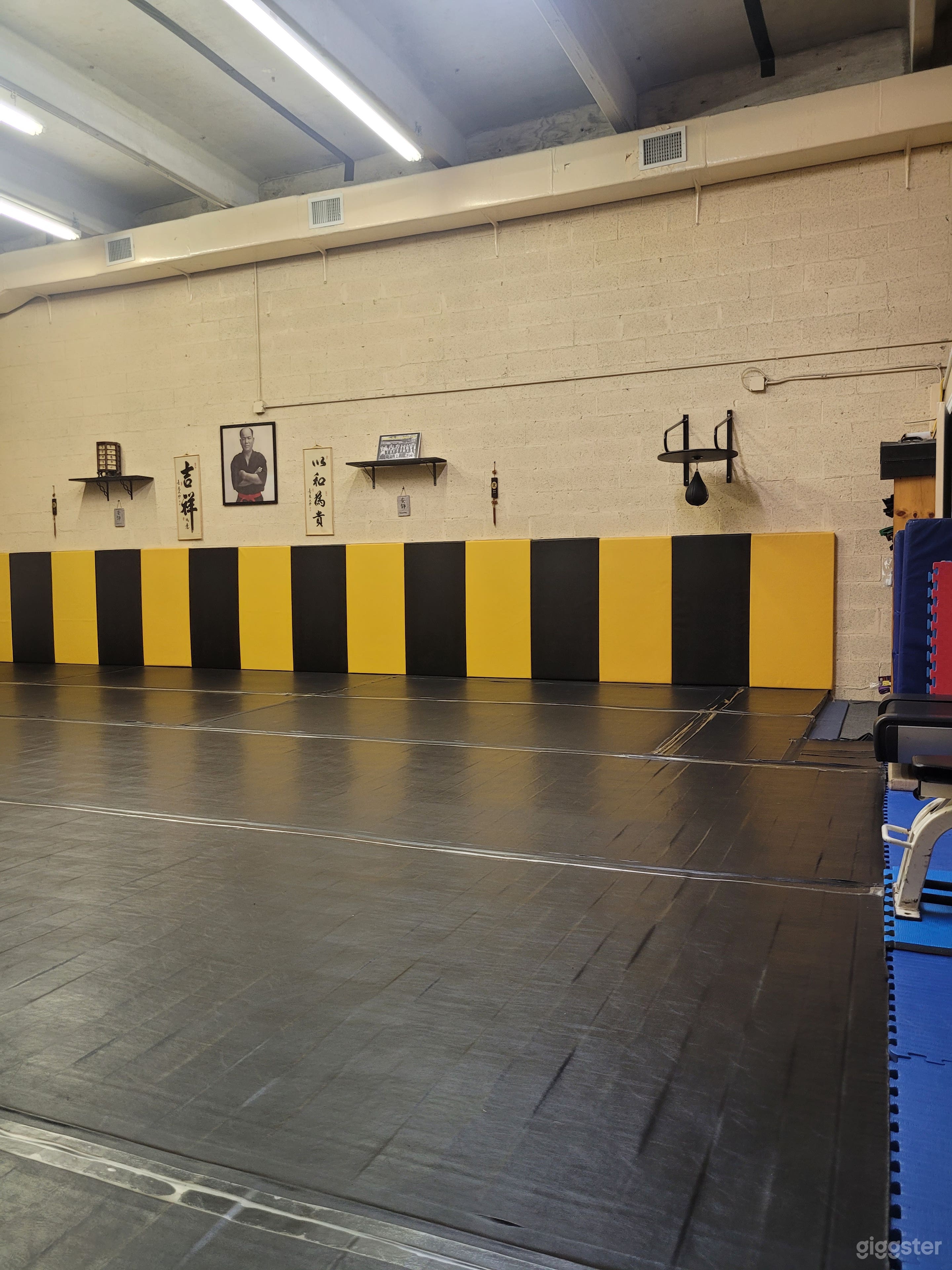 Cinematic Martial Arts Dojo & Private Gym Photo 3