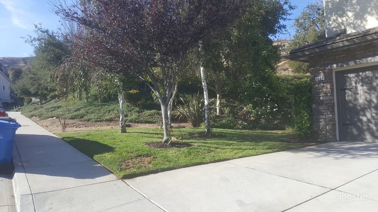   ample street parking
Front yard 