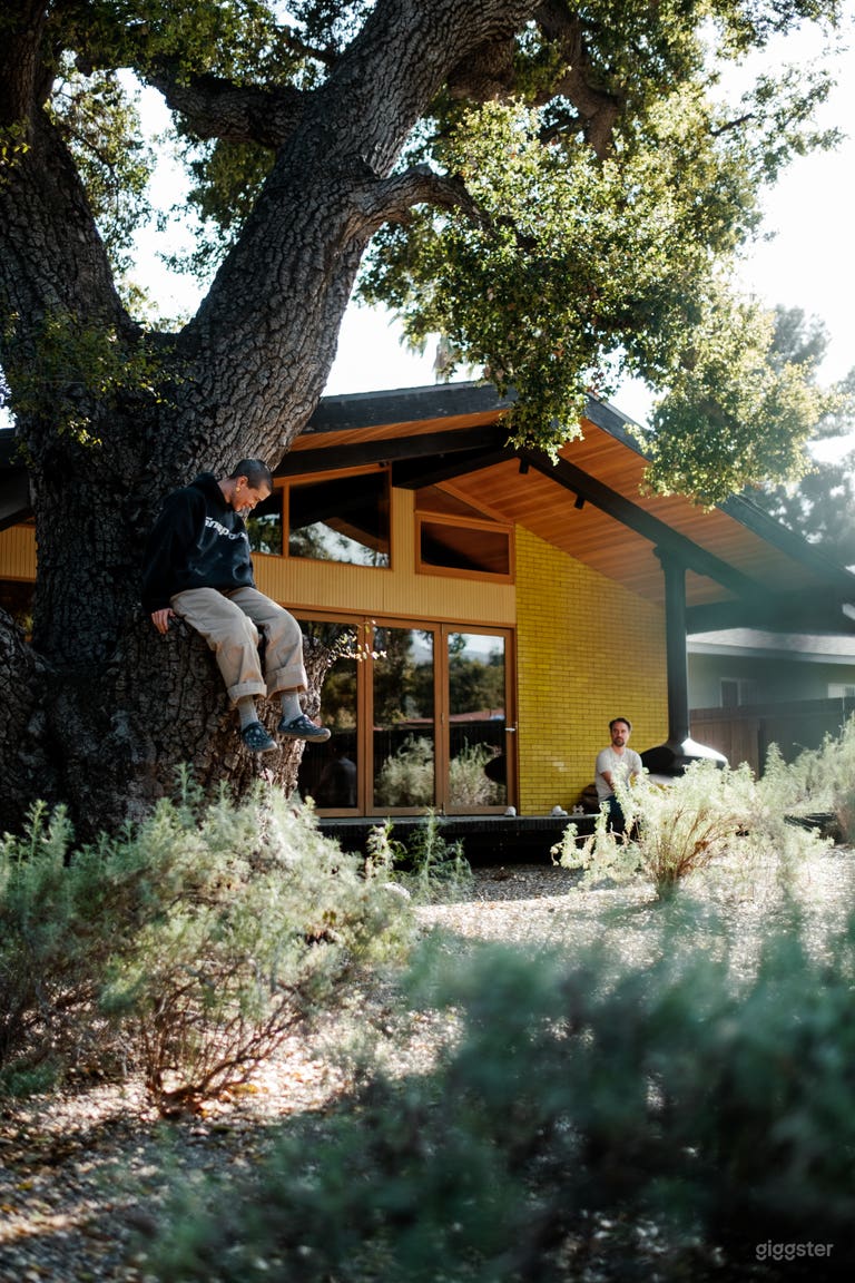  Architectural Bauhaus/Girard Inspired Ojai Ranch 