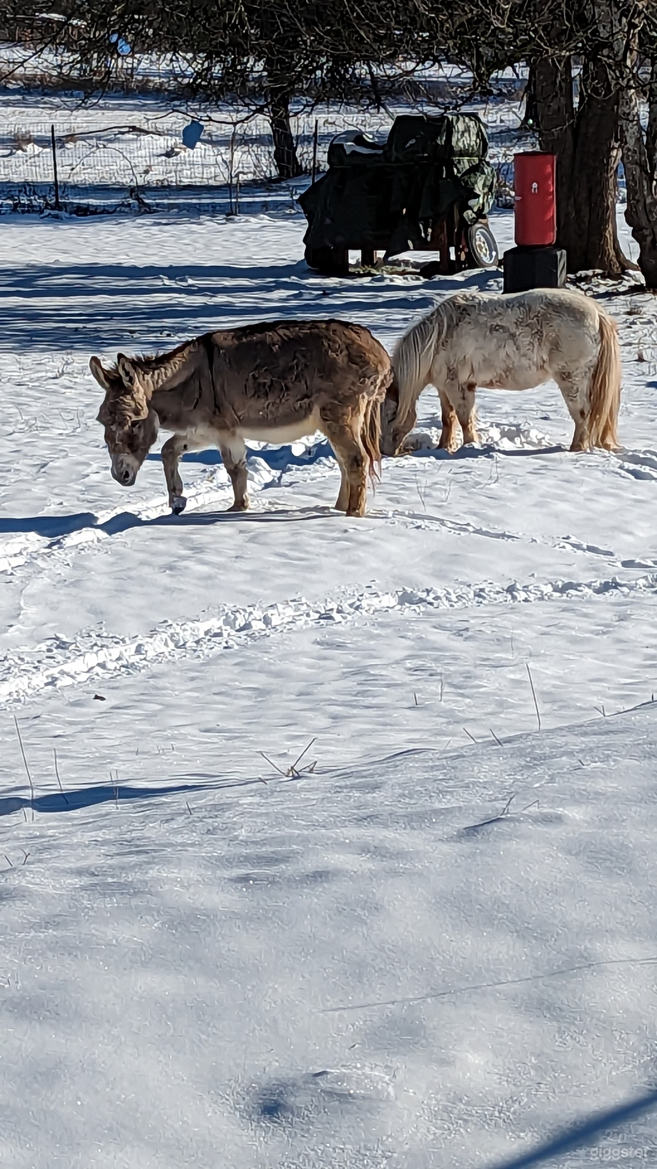 Meander Vault property  Photo 2