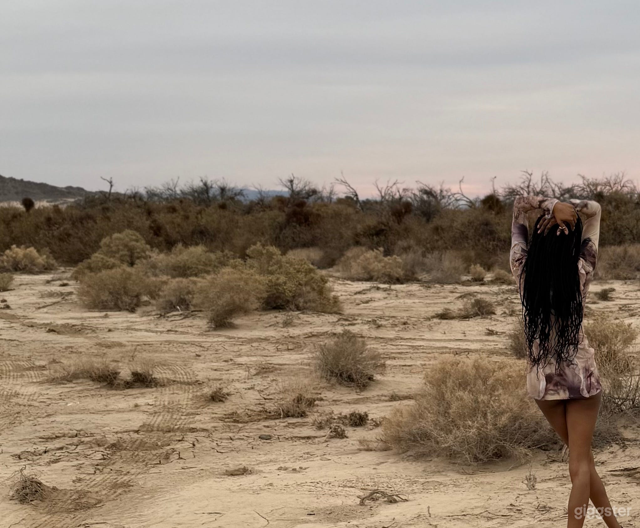 Desert Vista 36 Photo 3