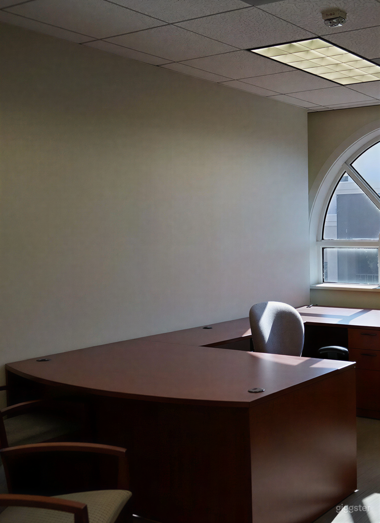  Private Executive Office with Natural Light 