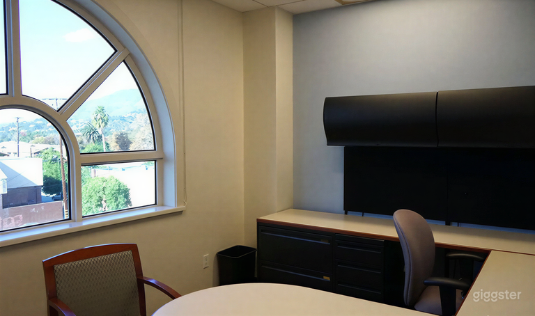  Private Executive Office with Natural Light 