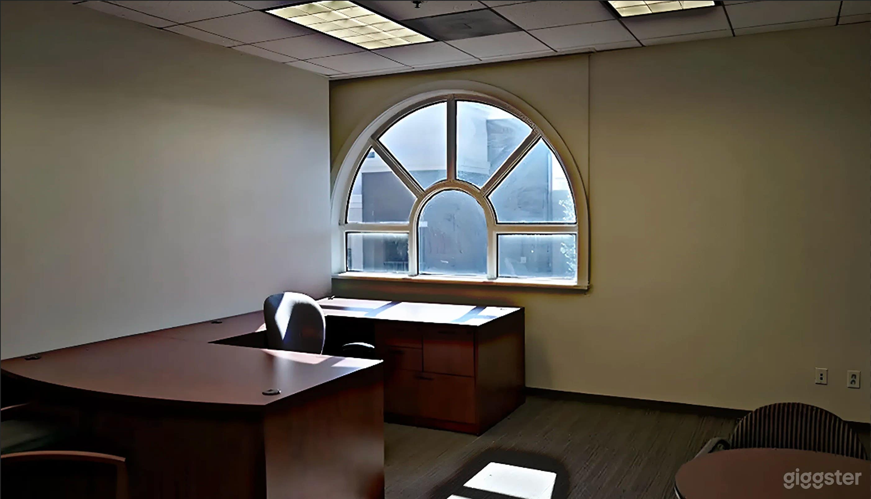Private Executive Office with Natural Light Photo 1