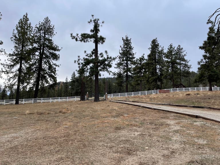  Stunning Forest  Filming Ranch 