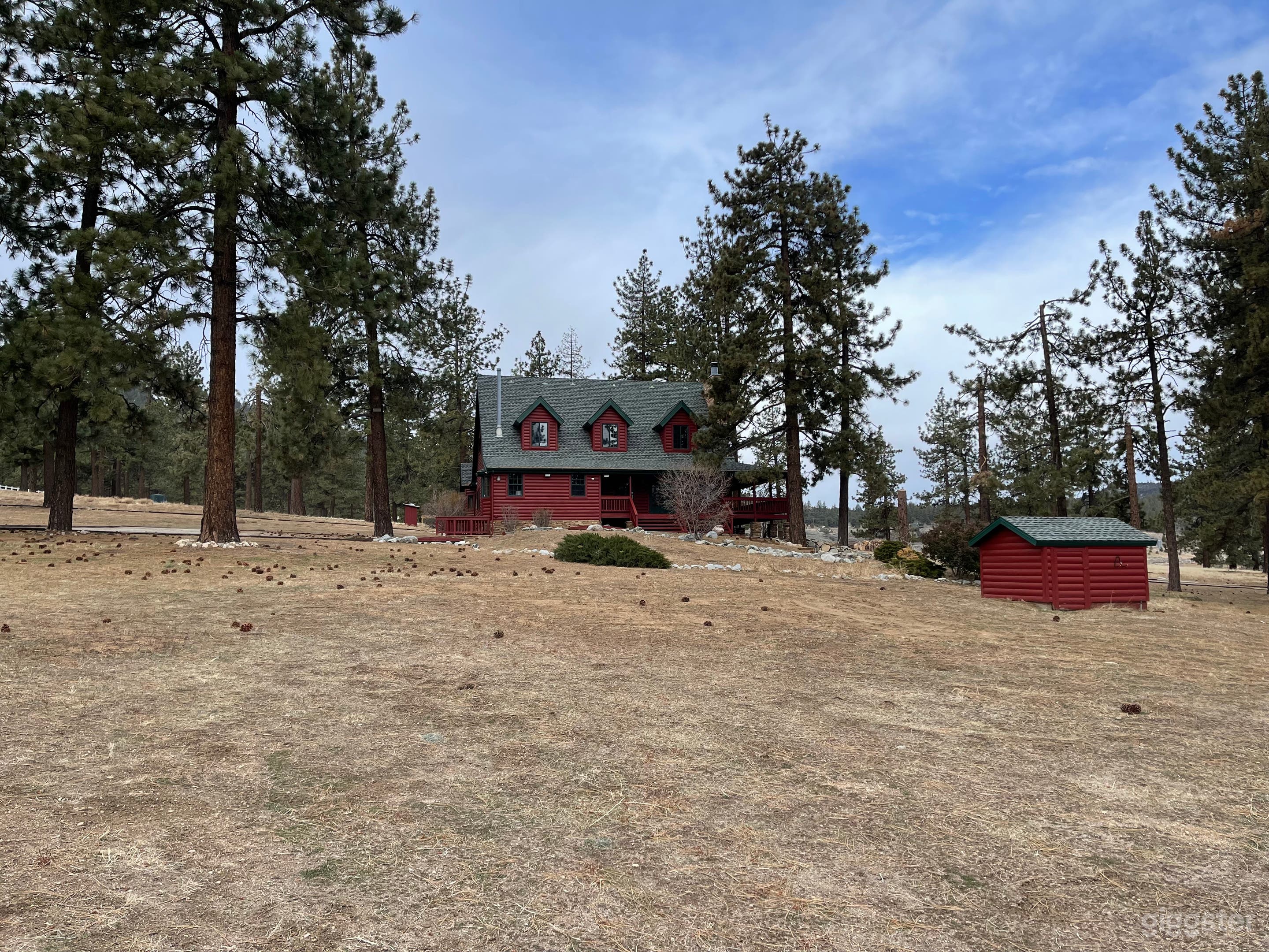 Stunning Forest  Filming Ranch Photo 1