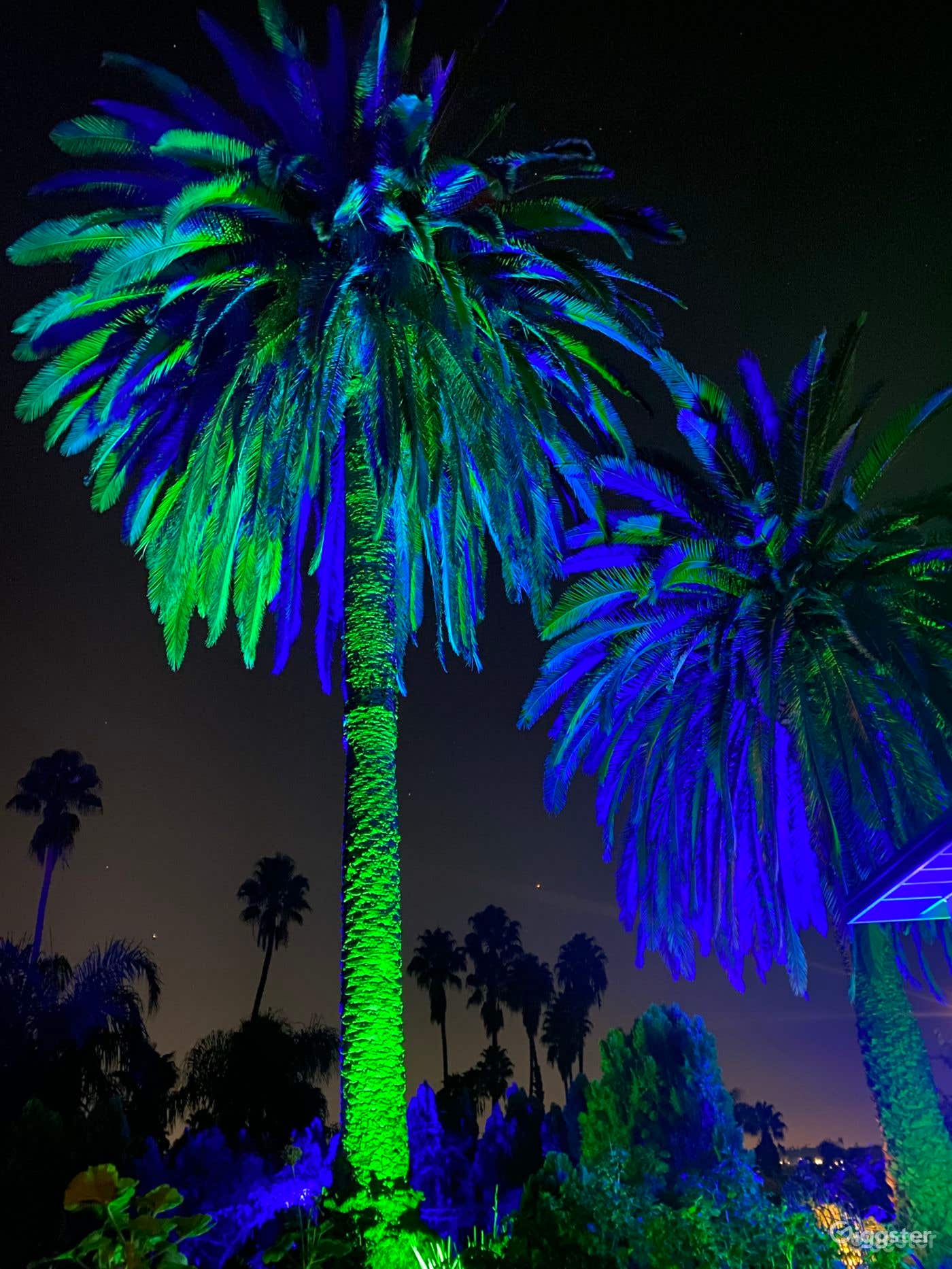 Tropical Pool on top of the hill Photo 4