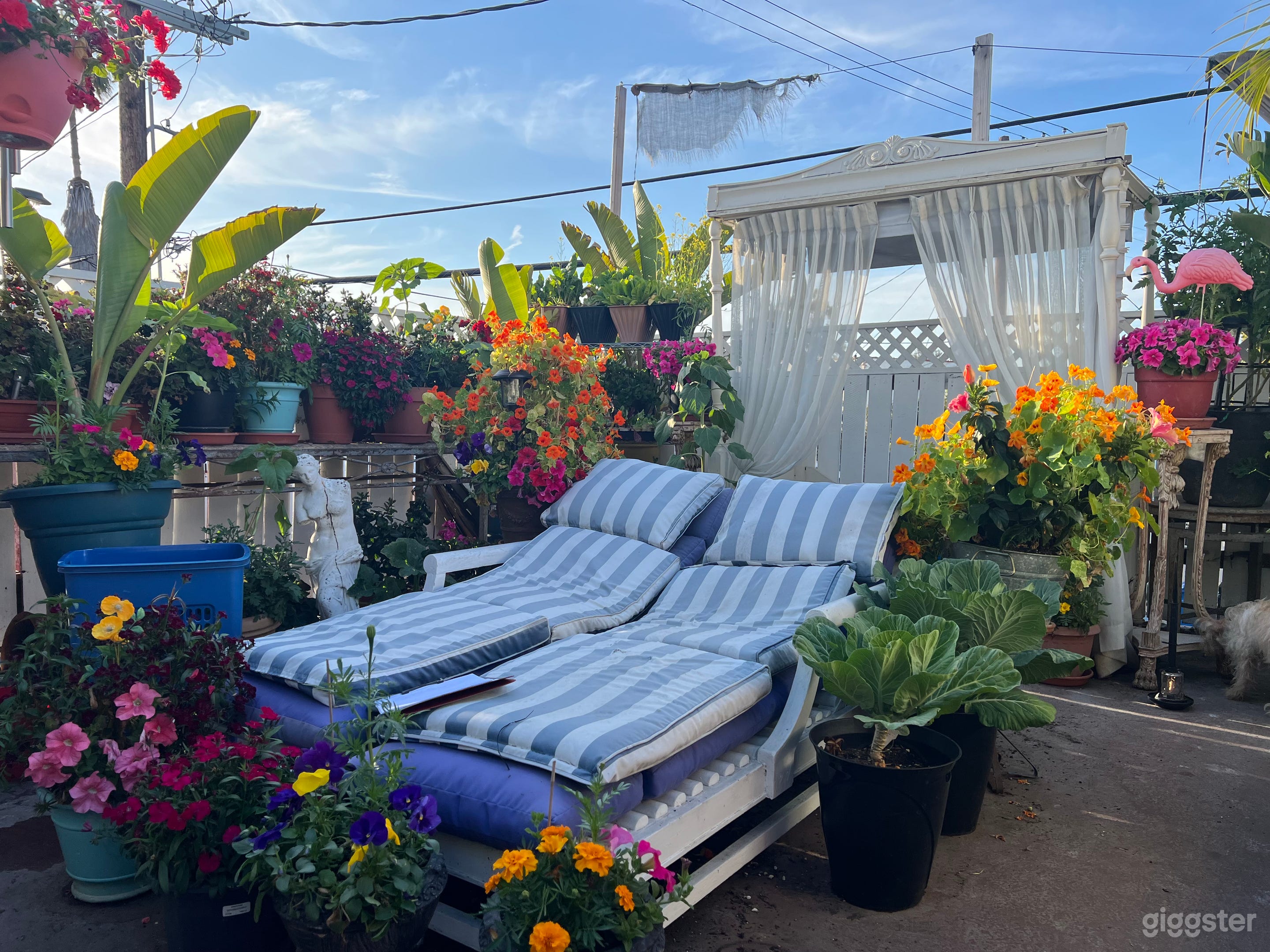 Chateau Michelle Film Studio Photography Photo 4