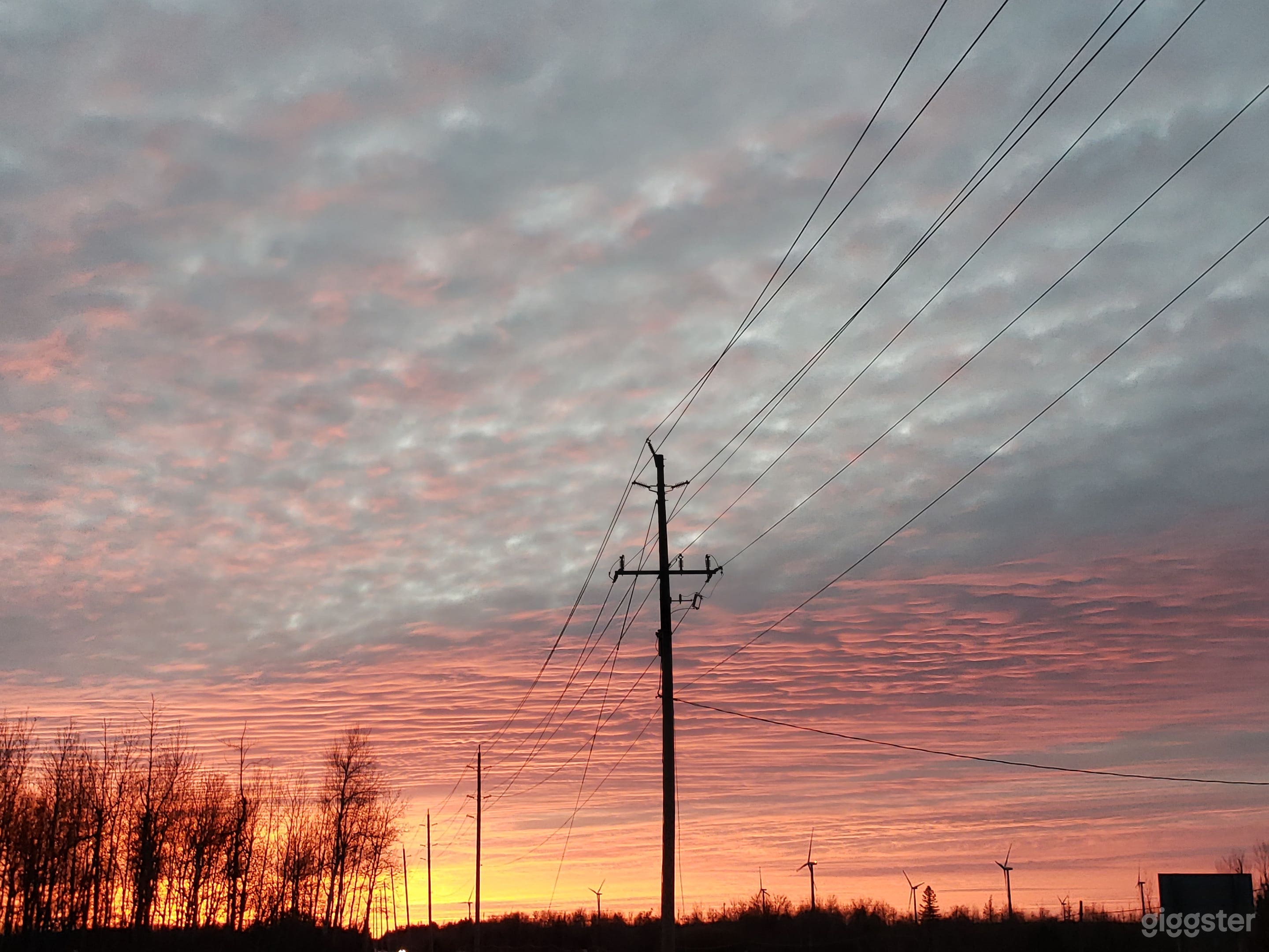 Countryside Photography &amp; Filming  Photo 1