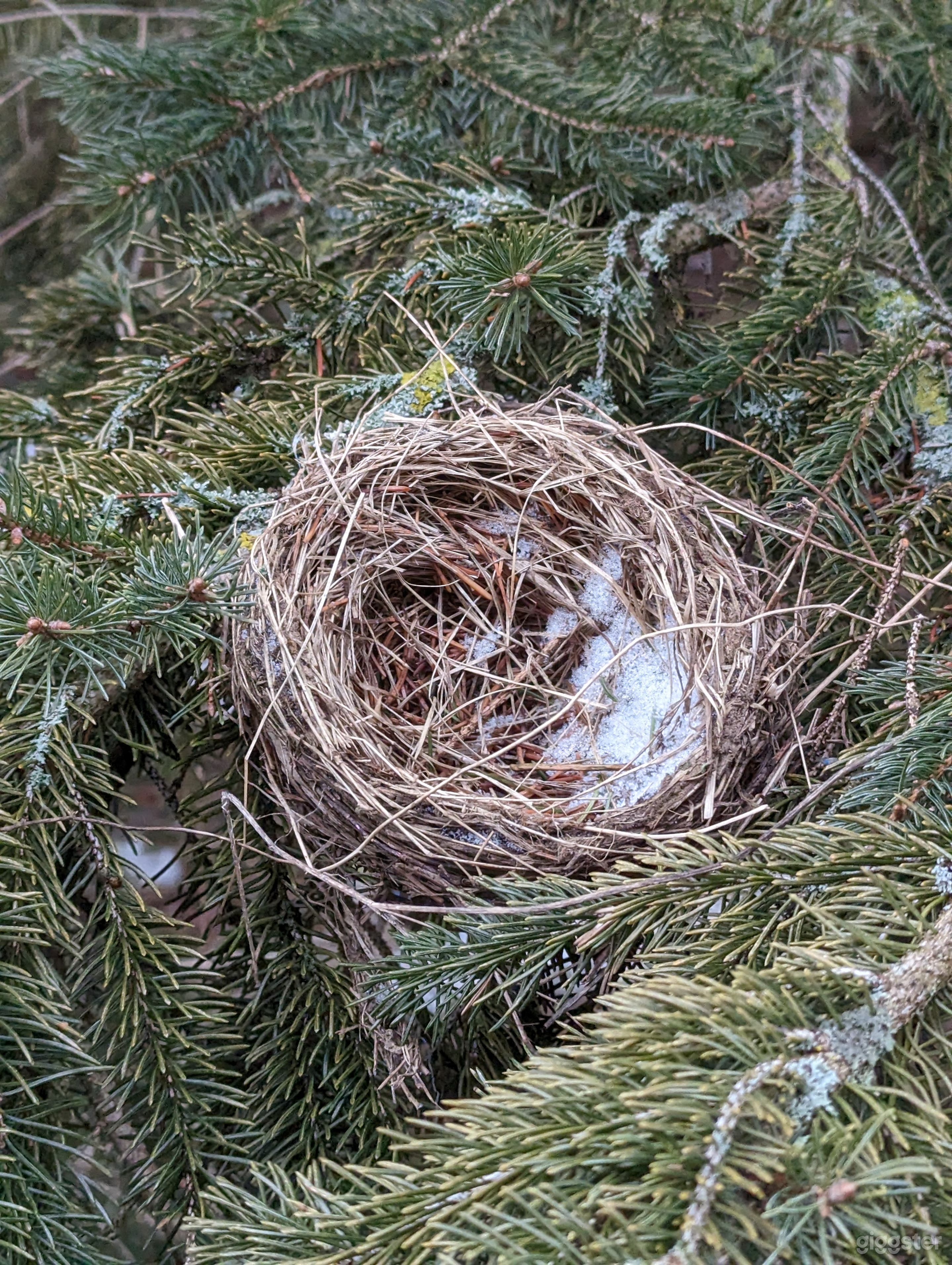 Countryside Photography &amp; Filming  Photo 4