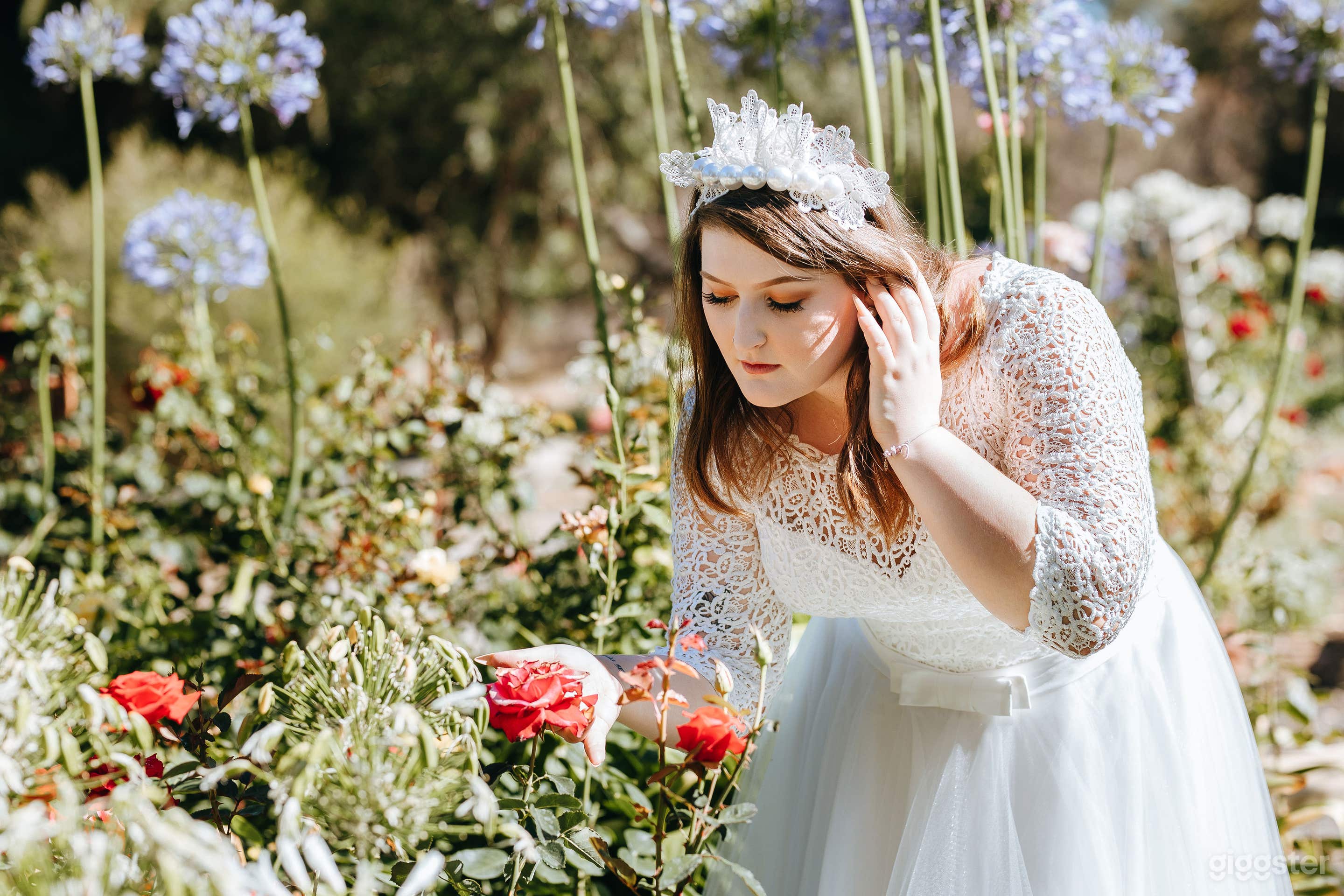 magical rose garden bride