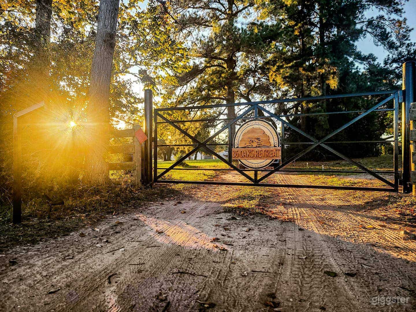 6-acre Retreat with Live Oaks, Pool, & Party Barns Photo 4