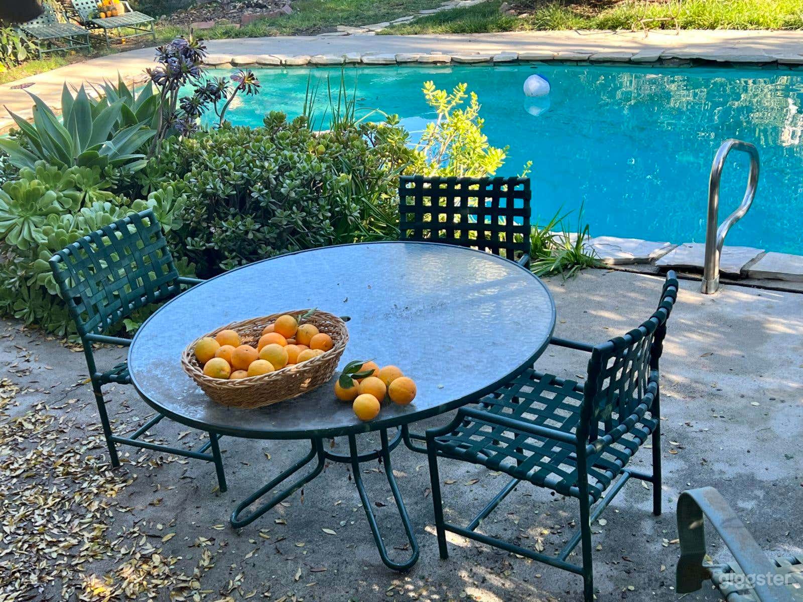 Sherman Oaks Urban Backyard Photo 4