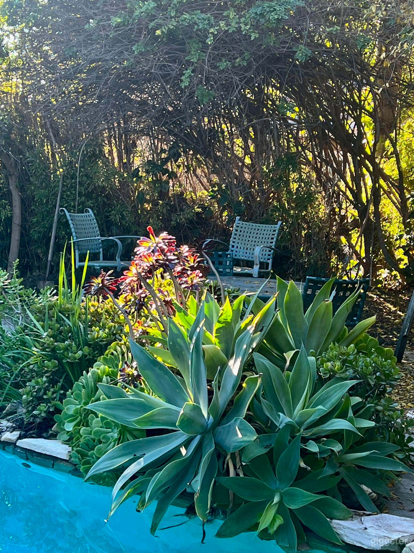 Sherman Oaks Urban Backyard Photo 3