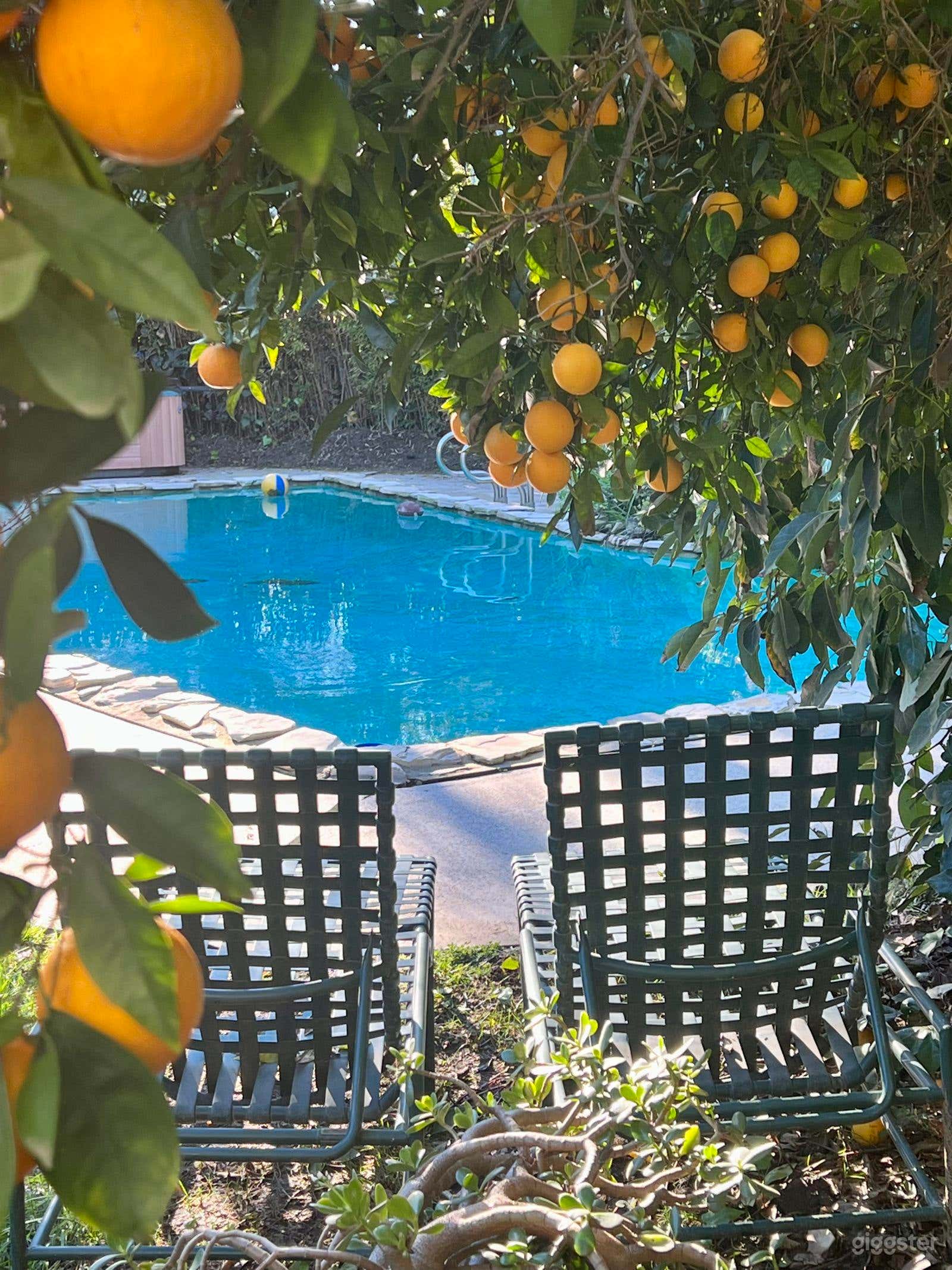 Sherman Oaks Urban Backyard Photo 2