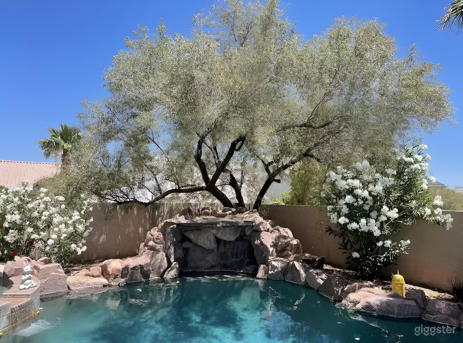 Mini Lake Mead Pool Photo 3