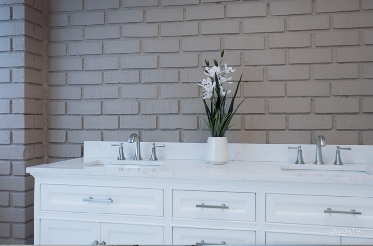  The Serenity Room features a prestigious brick wall backdrop, high-quality sinks, and tasteful decor, creating an upscale, professional atmosphere ideal for any high-end wellness or medical-themed shoot. 