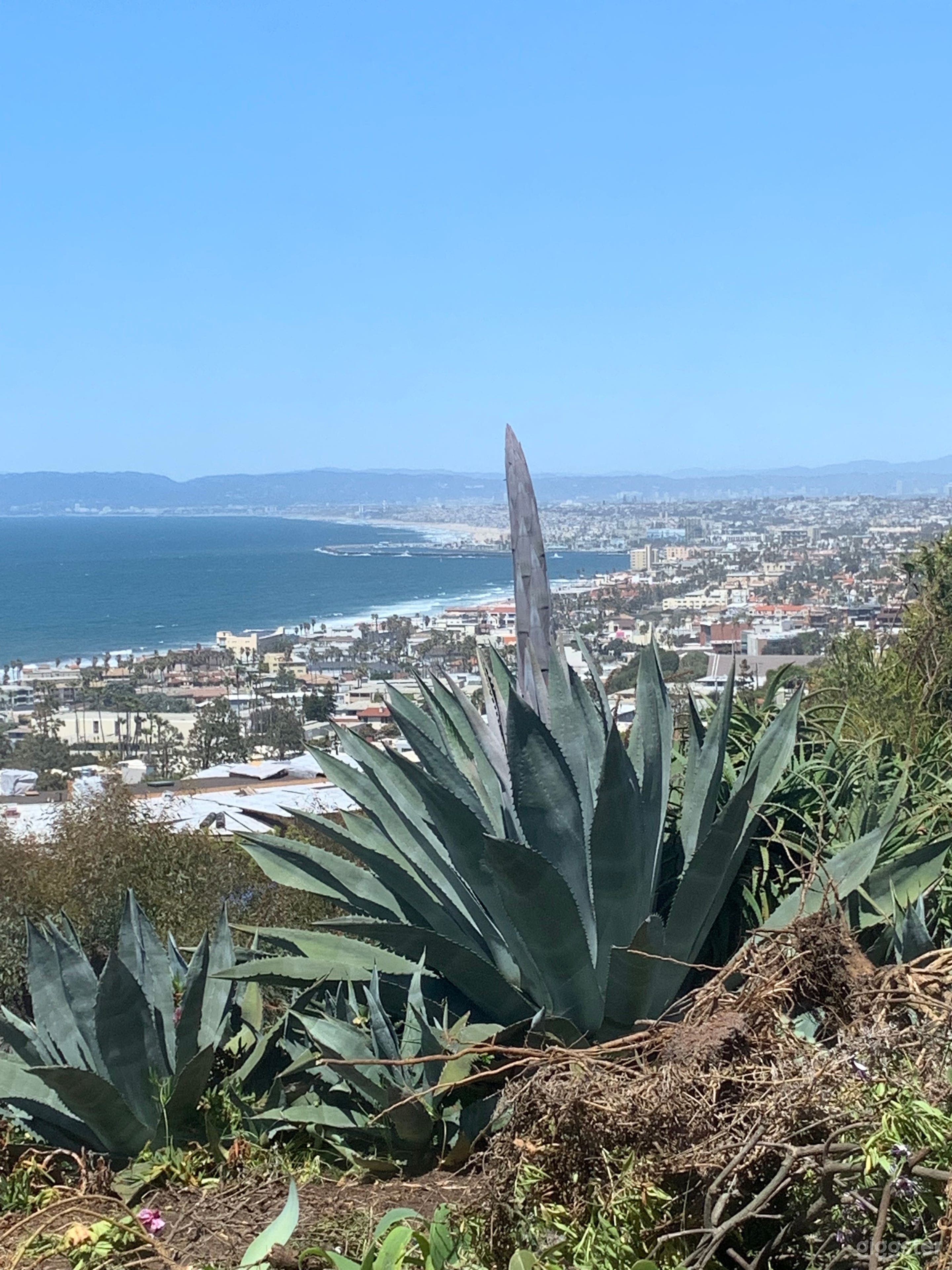 Best ocean view in Los Angeles, Hollywood Riviera Photo 2