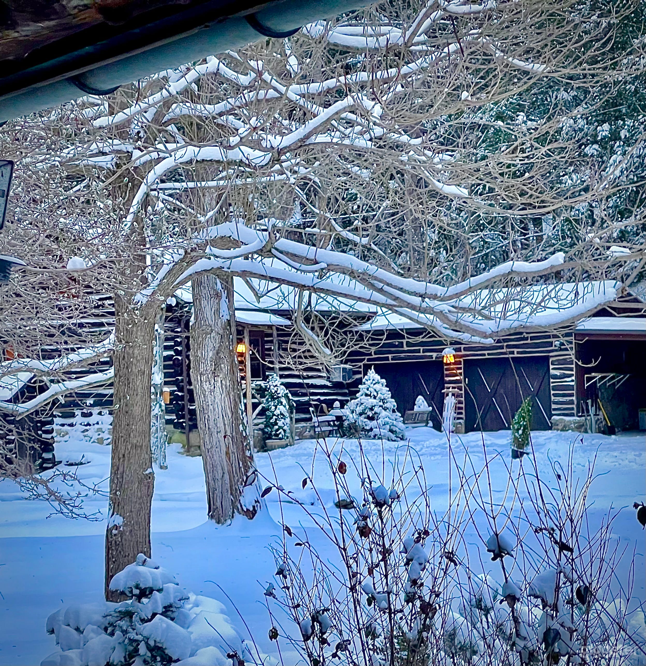 Idyllic Log Cabin Retreat Photo 3